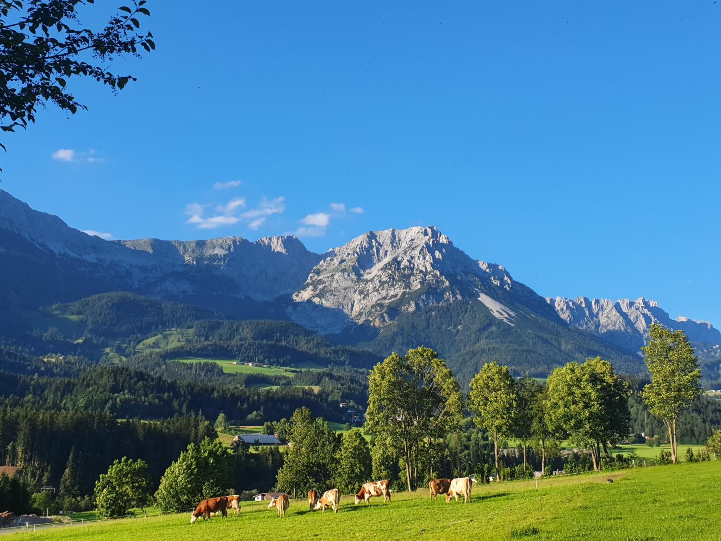 Bauernhof Neu-Endfelden, Günter Widauer