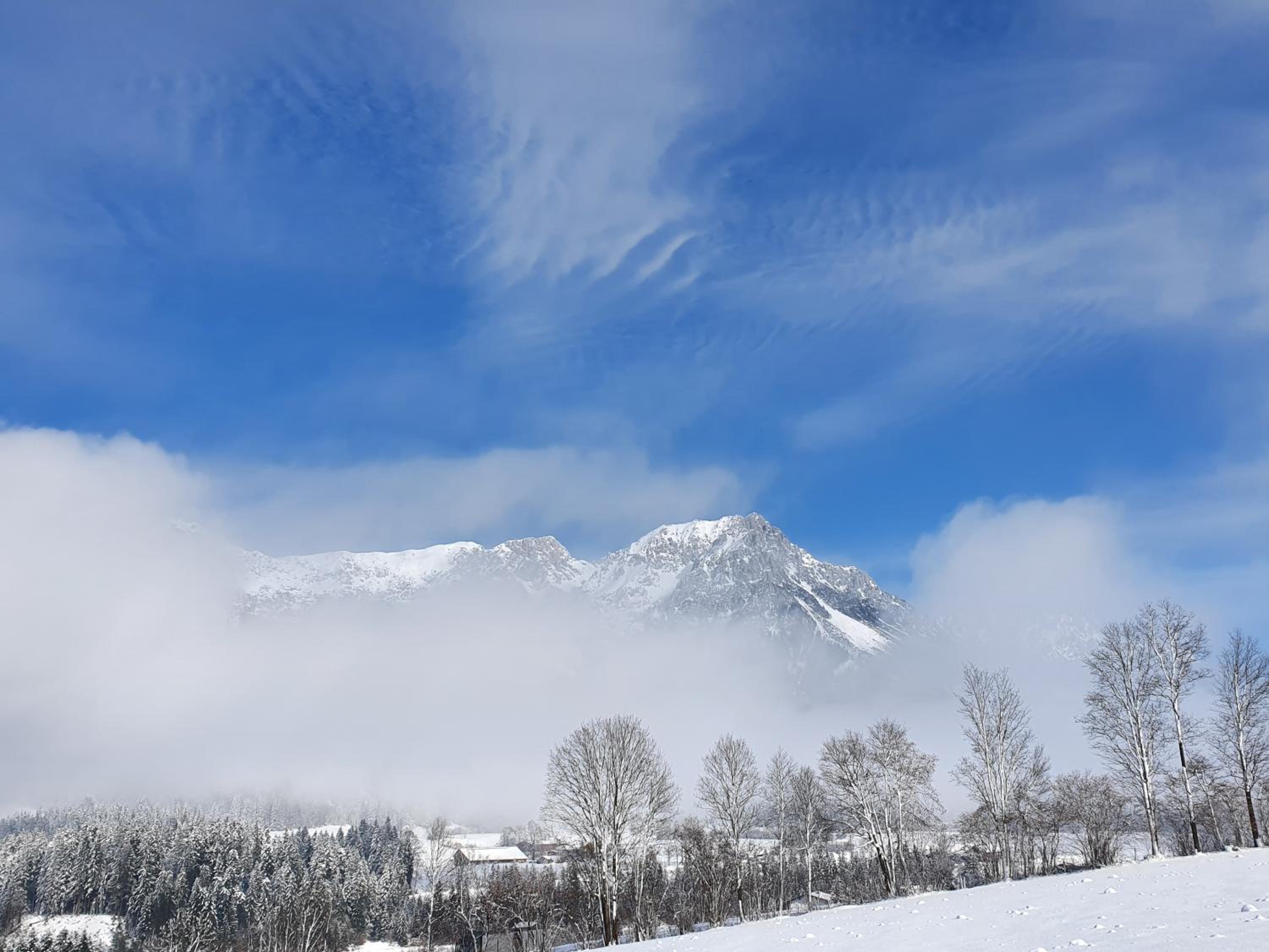 Bauernhof Neu-Endfelden, Günter Widauer