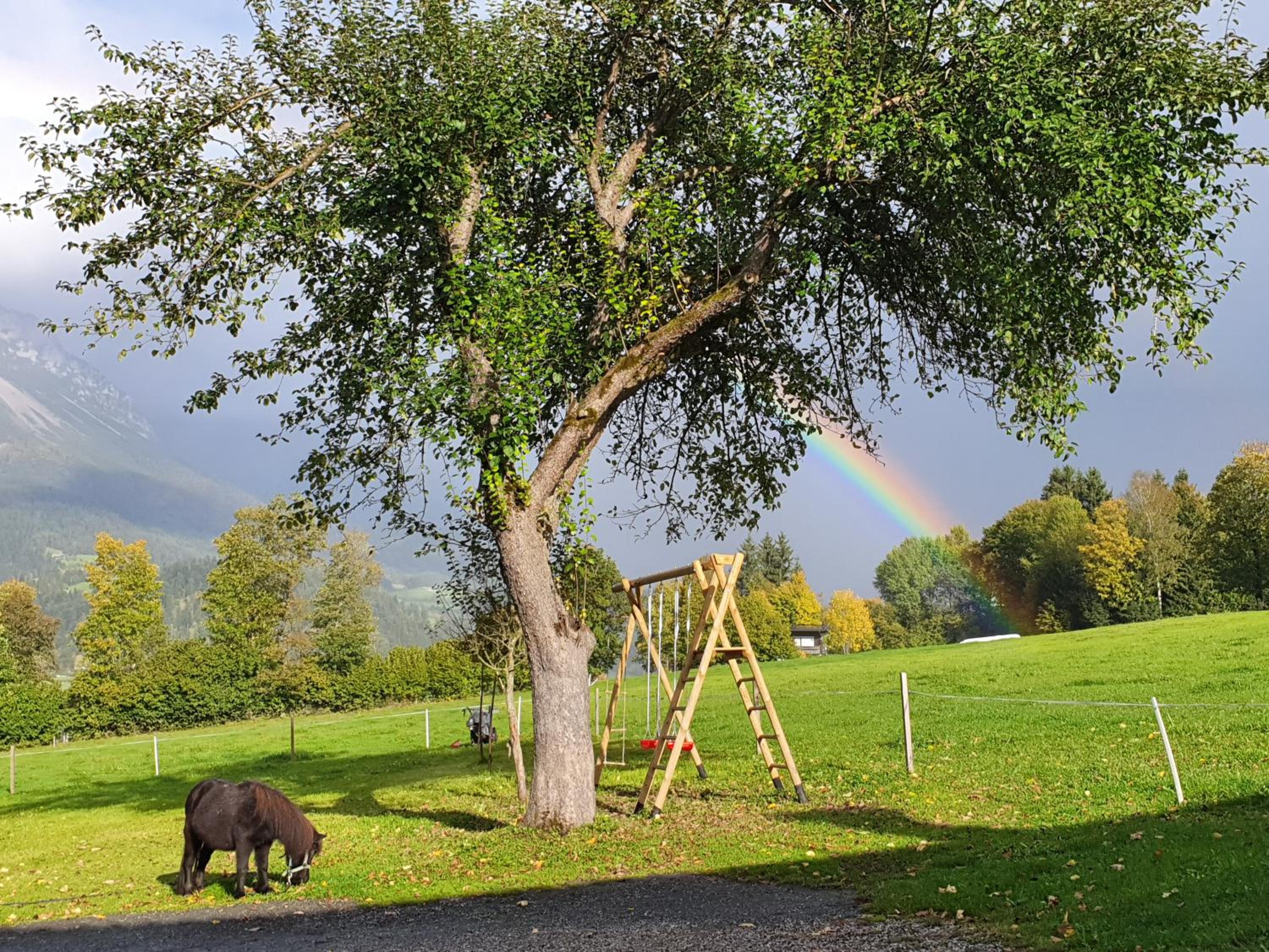 Bauernhof Neu-Endfelden, Günter Widauer