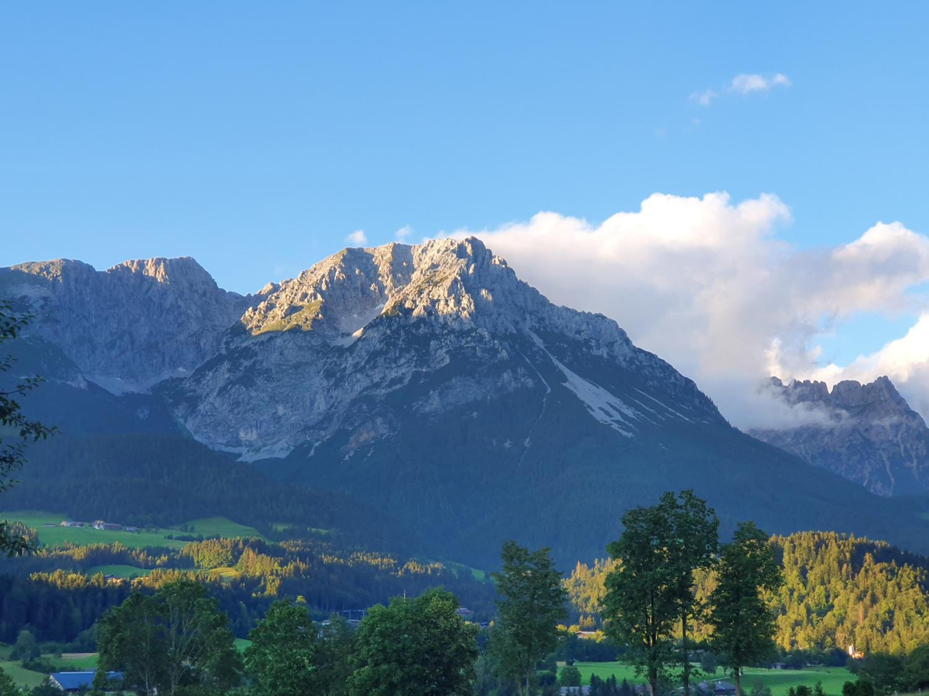 Bauernhof Neu-Endfelden, Günter Widauer