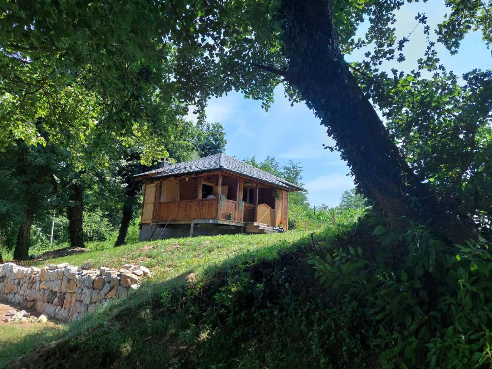 Marš na Drinu