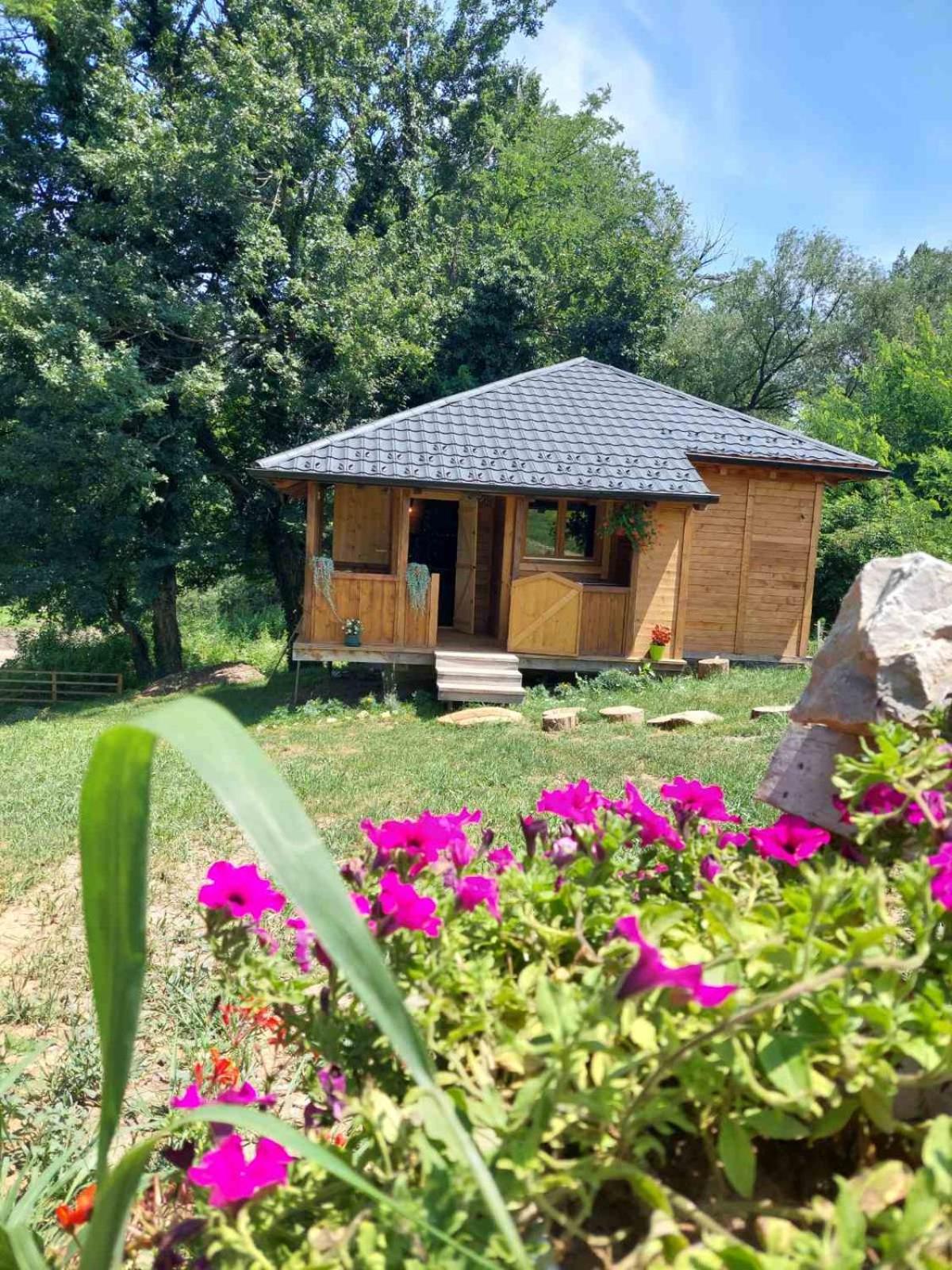 Marš na Drinu