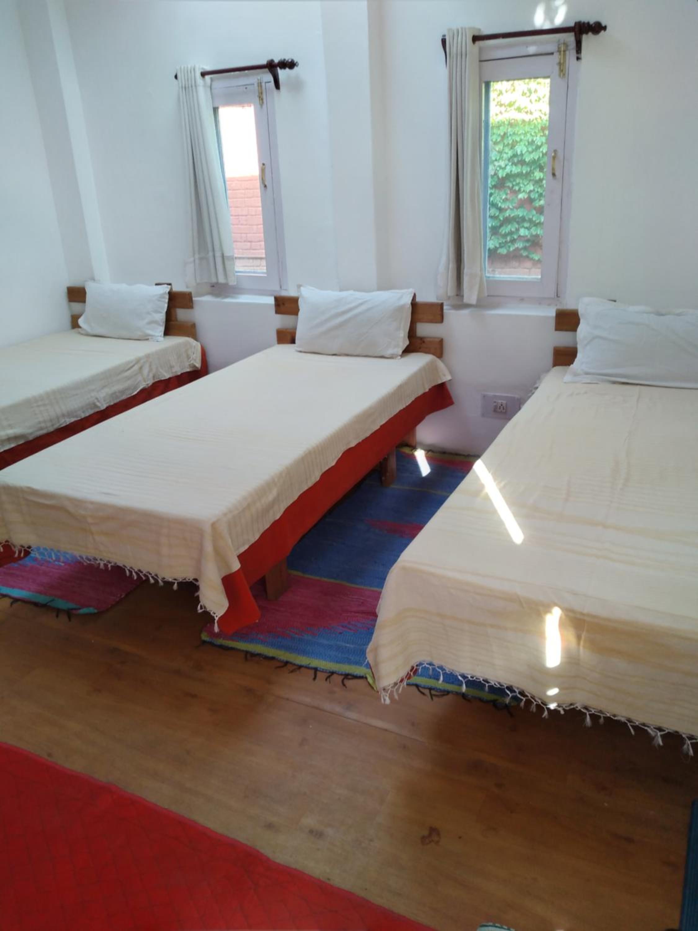 Photo 12