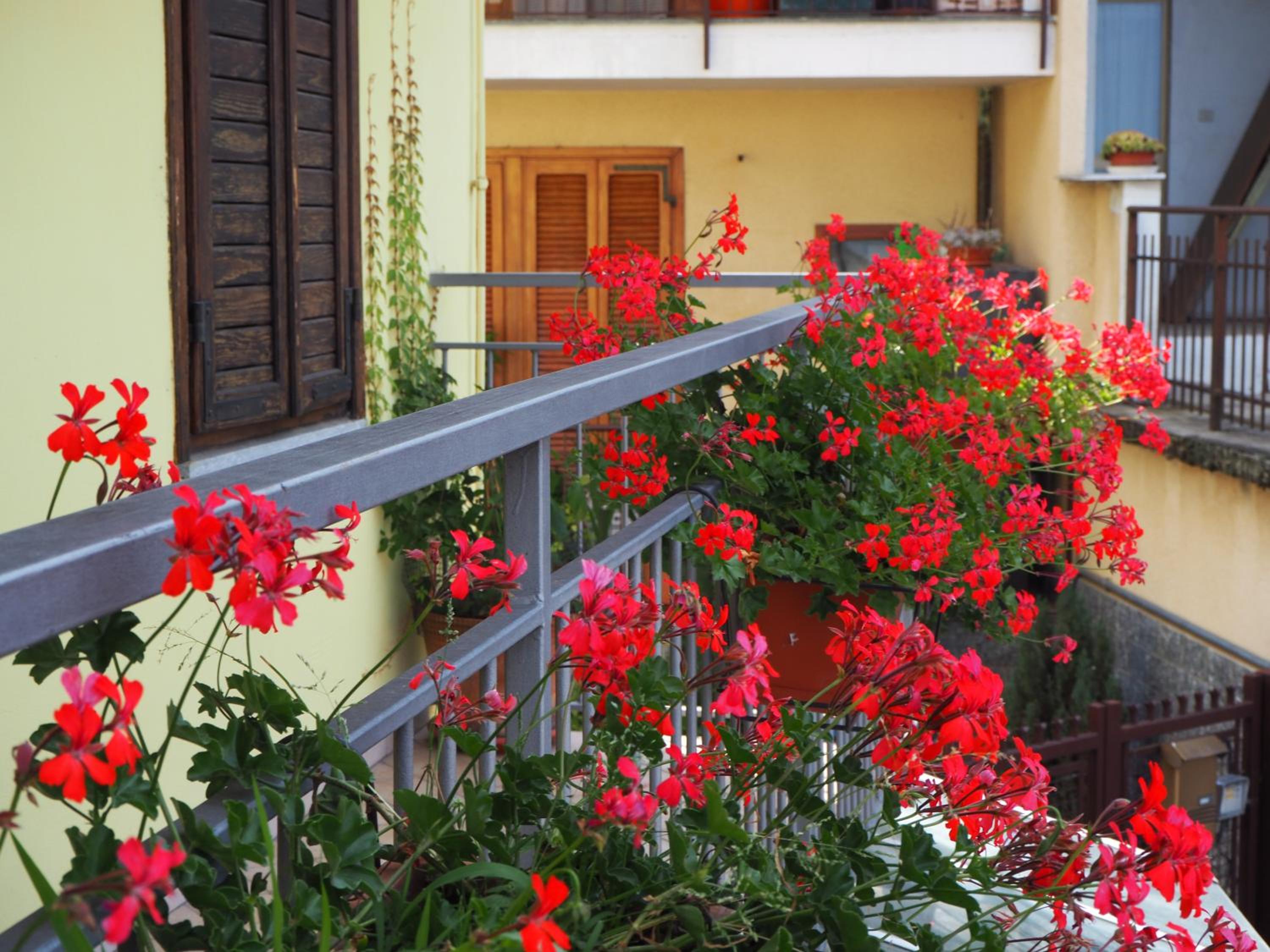 Casetta Gialla view 5