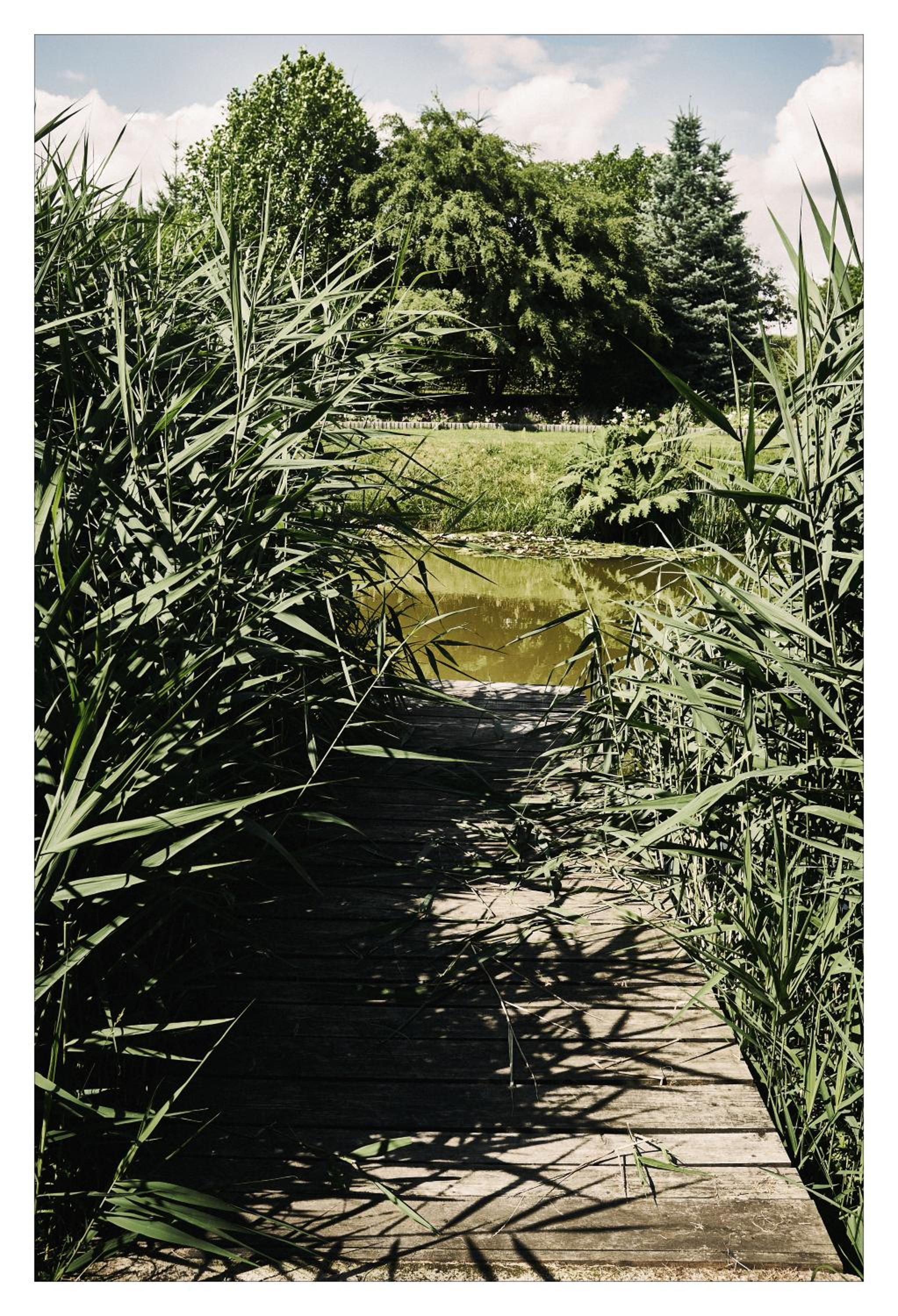 Photo 46
