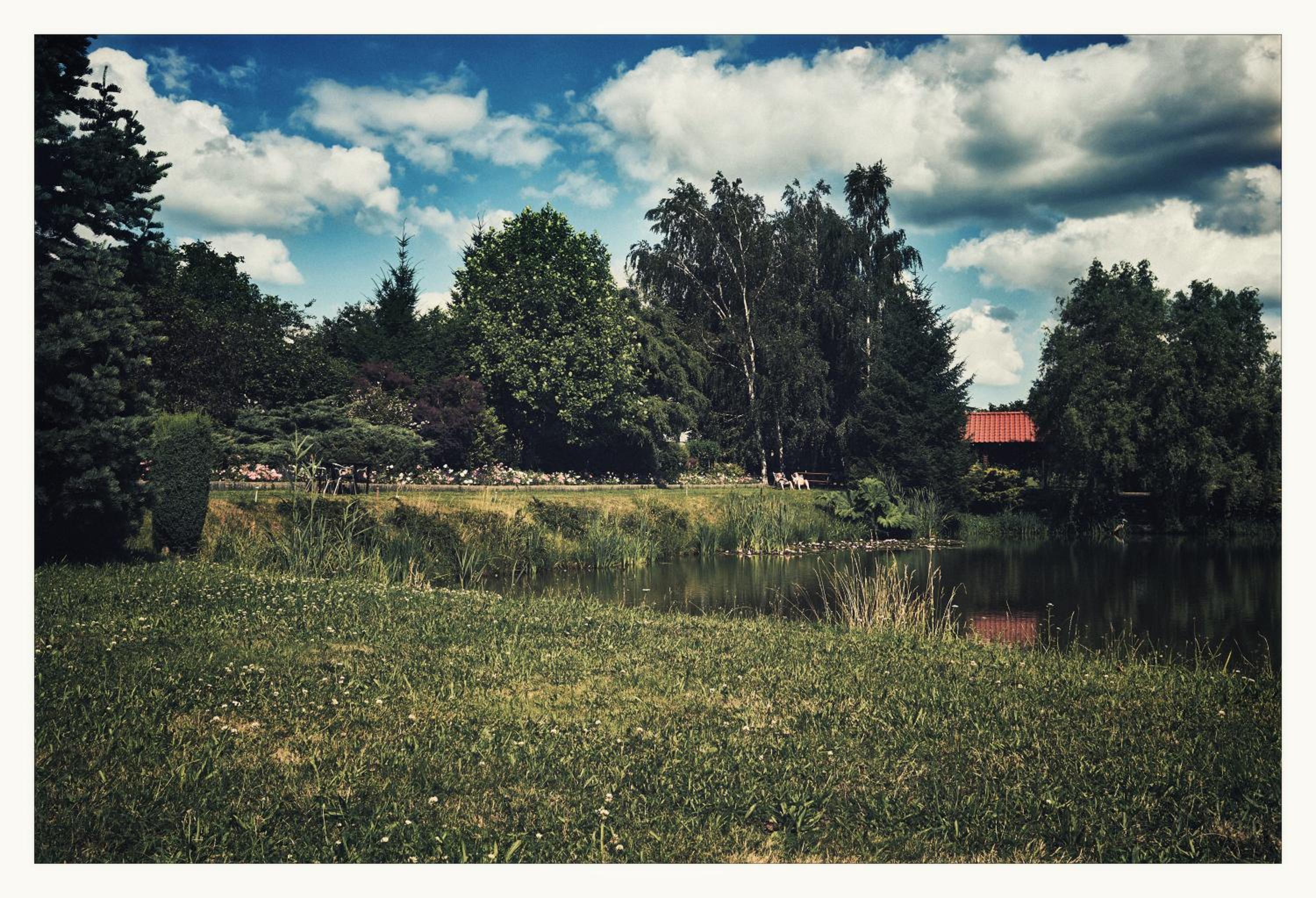 Photo 47