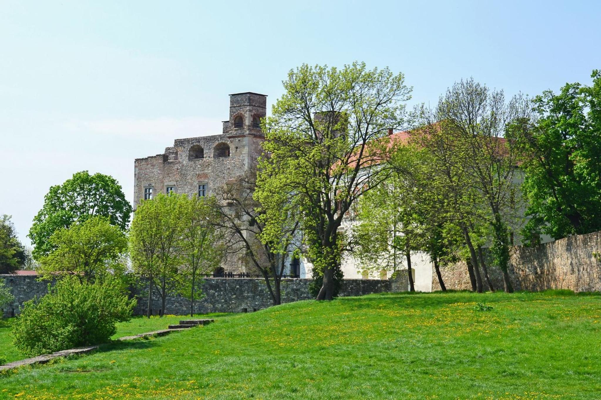 Photo 22