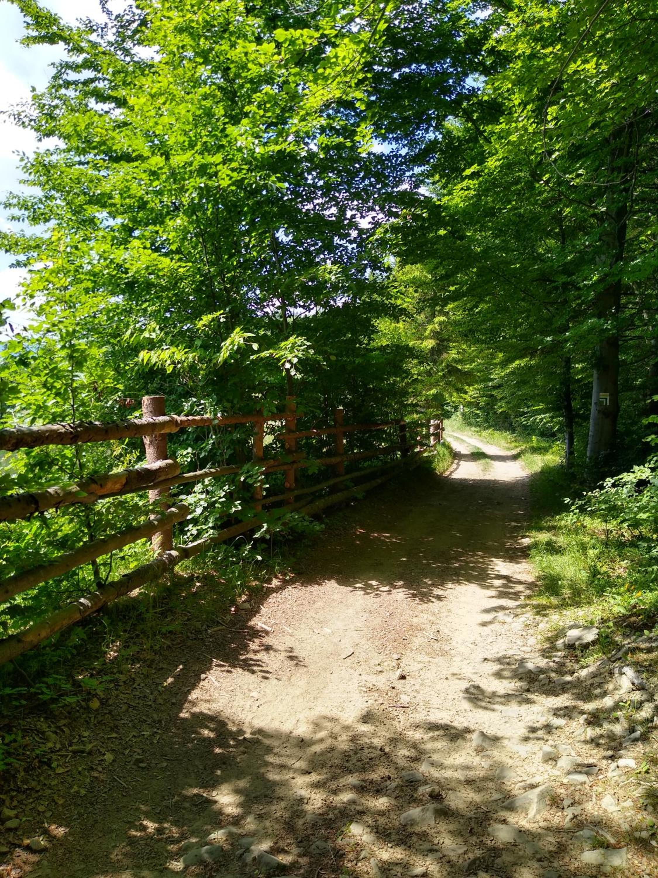 Kolędówka Rest, photo 58