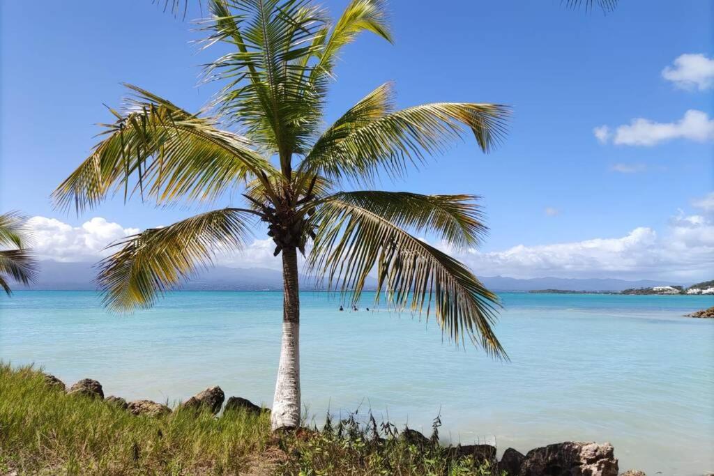 Pause_Yuccas view 4