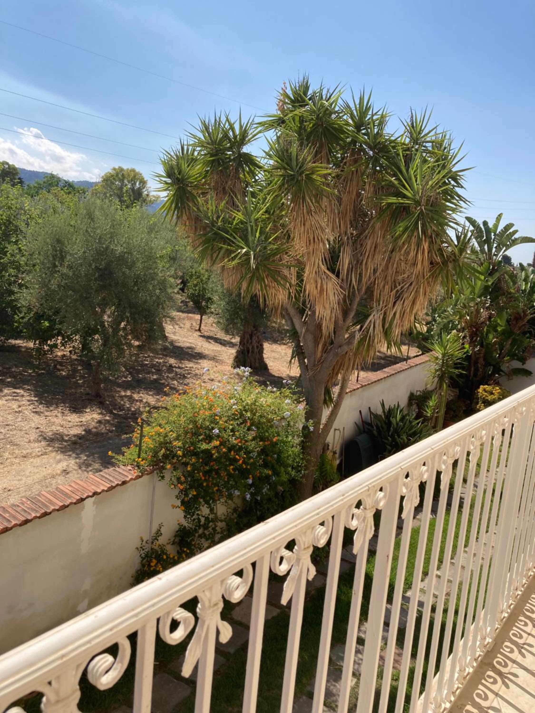 Apartment 1st floor in Villino Eliana view 3