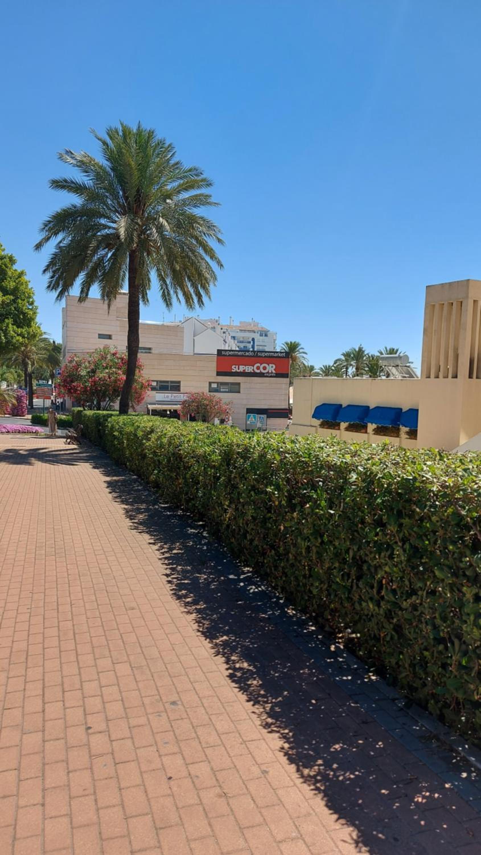 Puerto Paraiso Estepona port photo 3