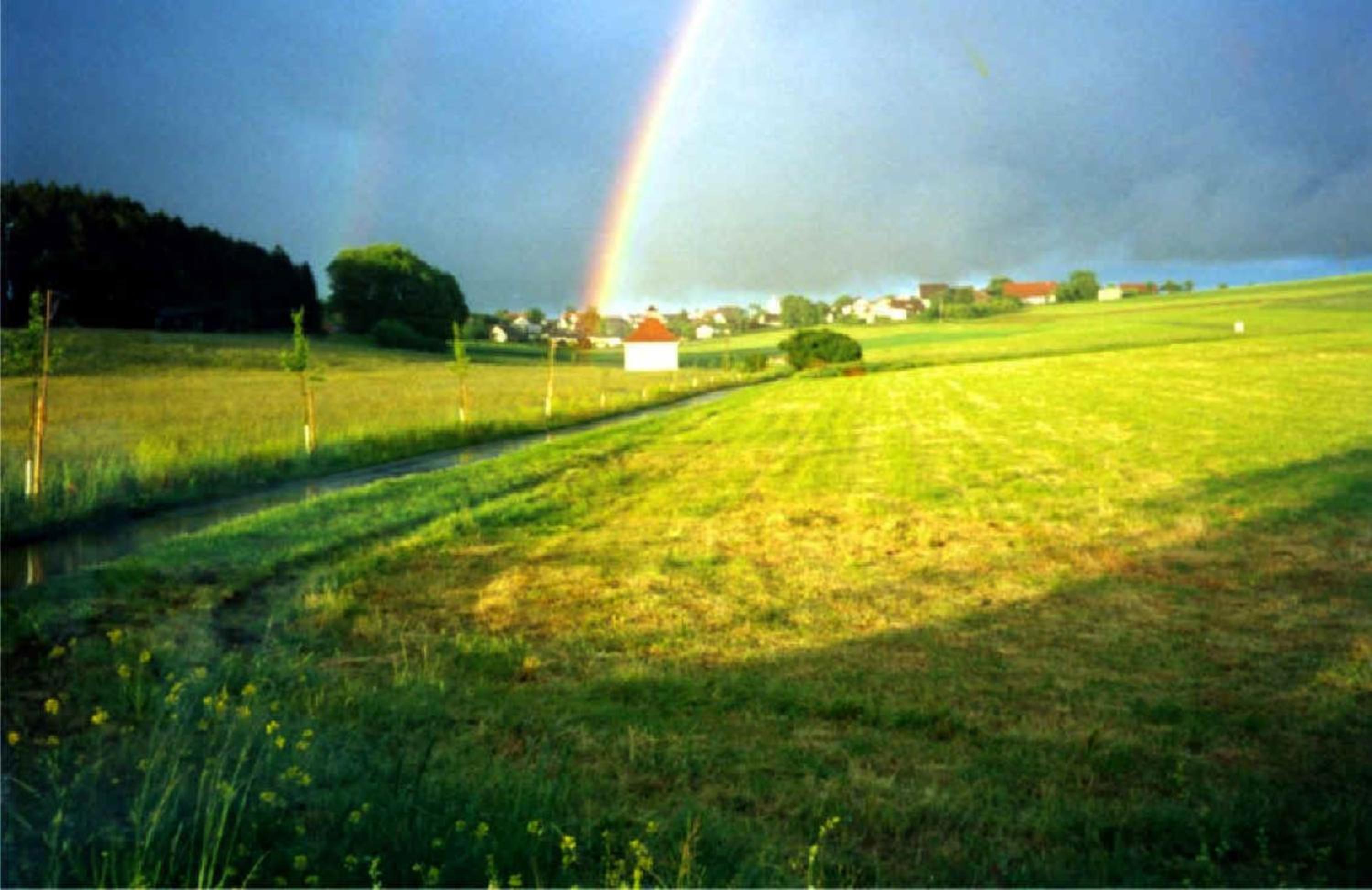 Photo 32
