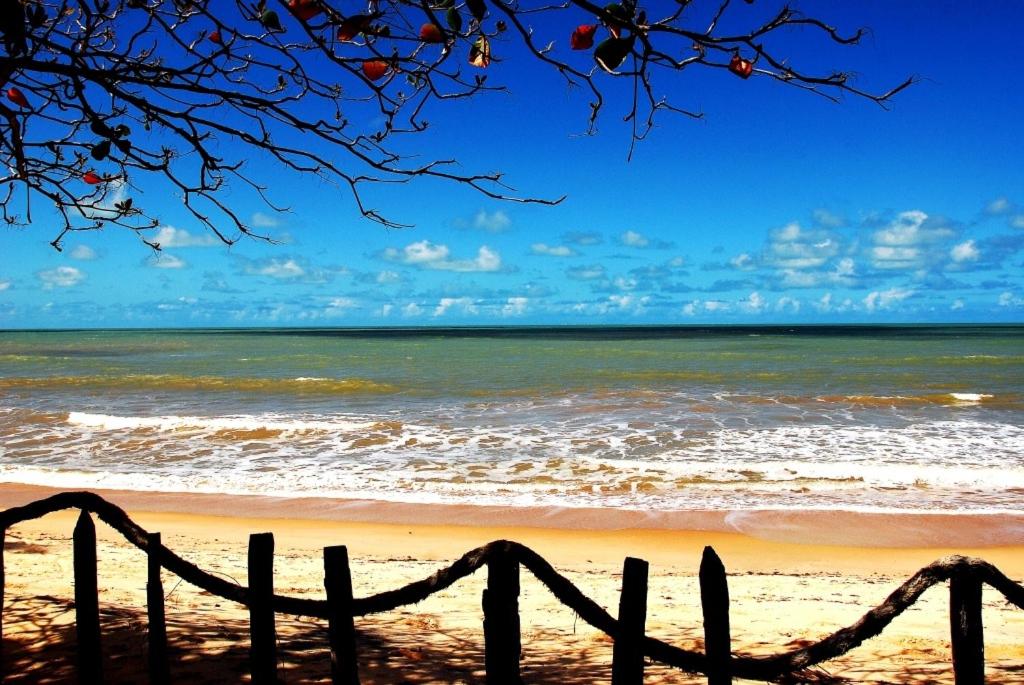 Paraíso da falésia em Cumuruxatiba com vista excepcional