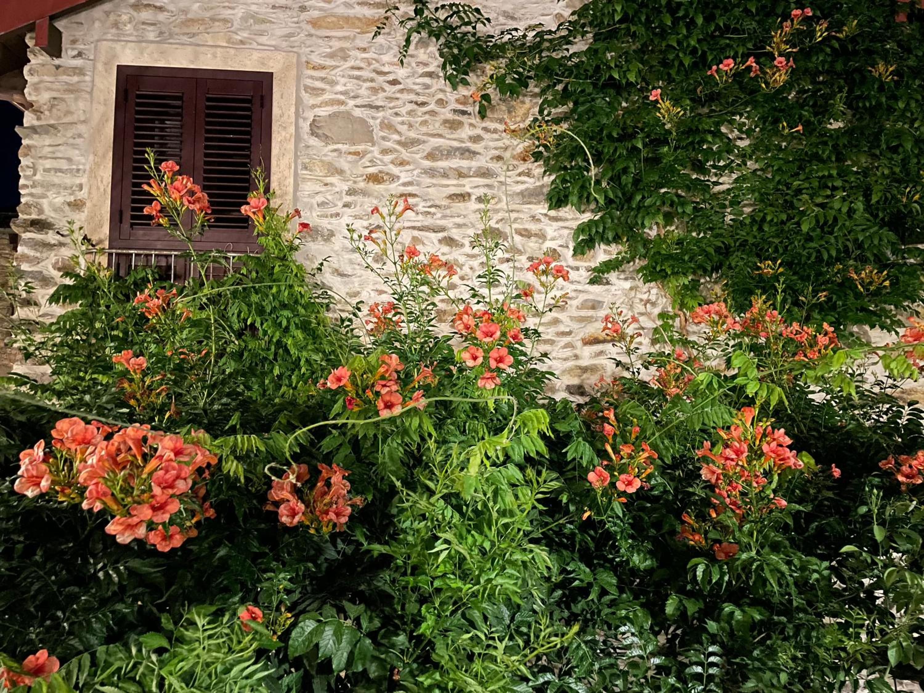 Borgata Cantone Country House B&B