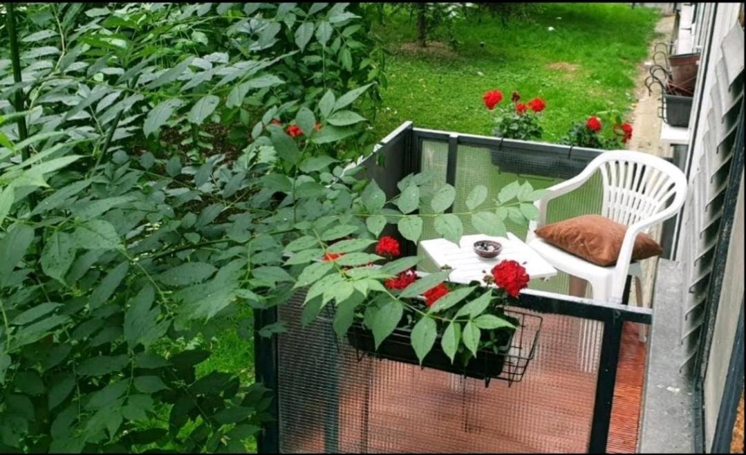 Photo 21