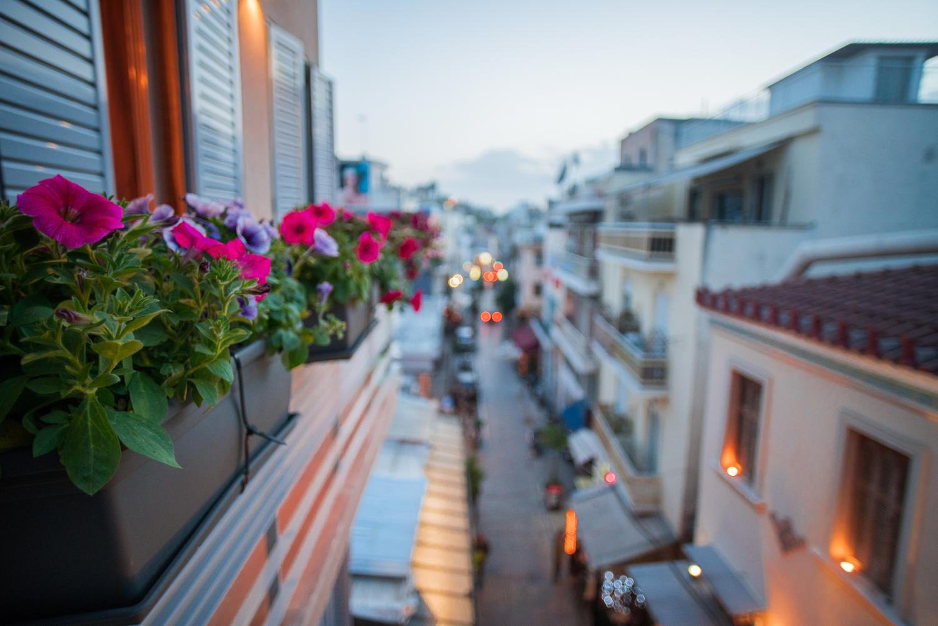 Athenian Living Suites
