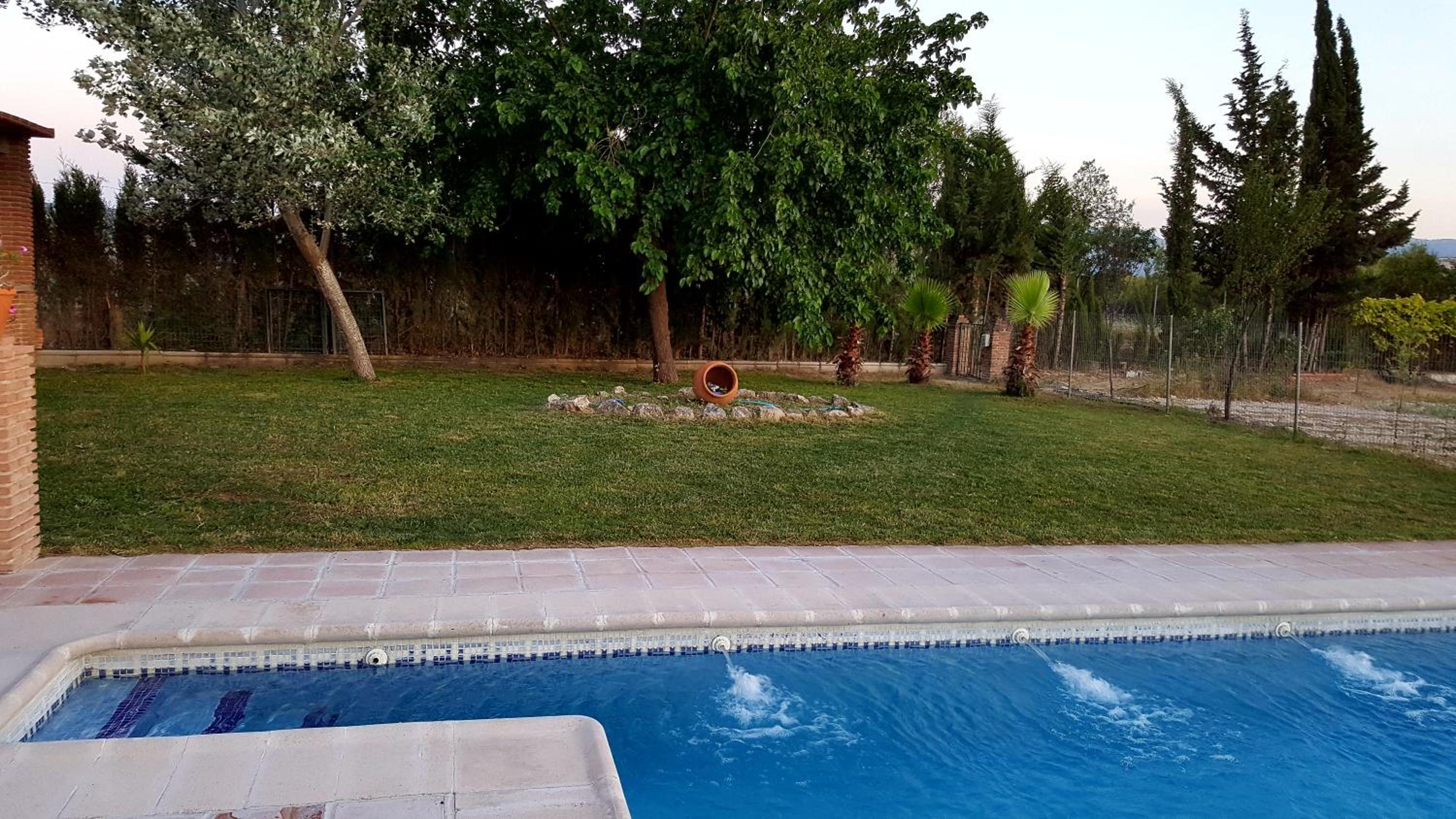 Photo 46