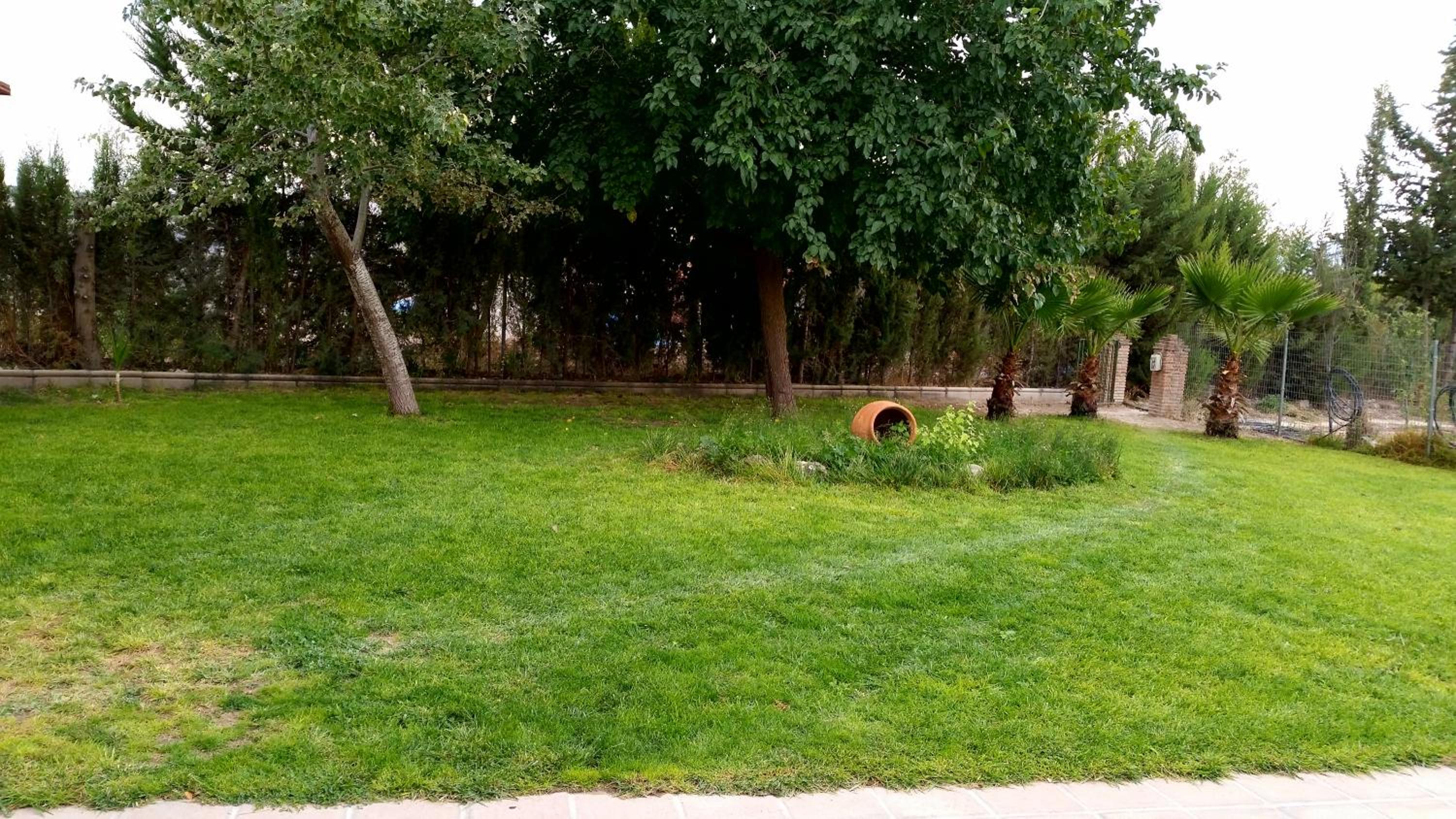 Photo 44