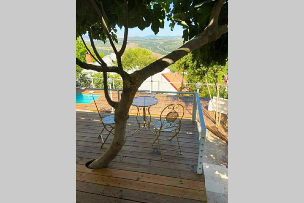 היחידה - Hayehida, photo 23