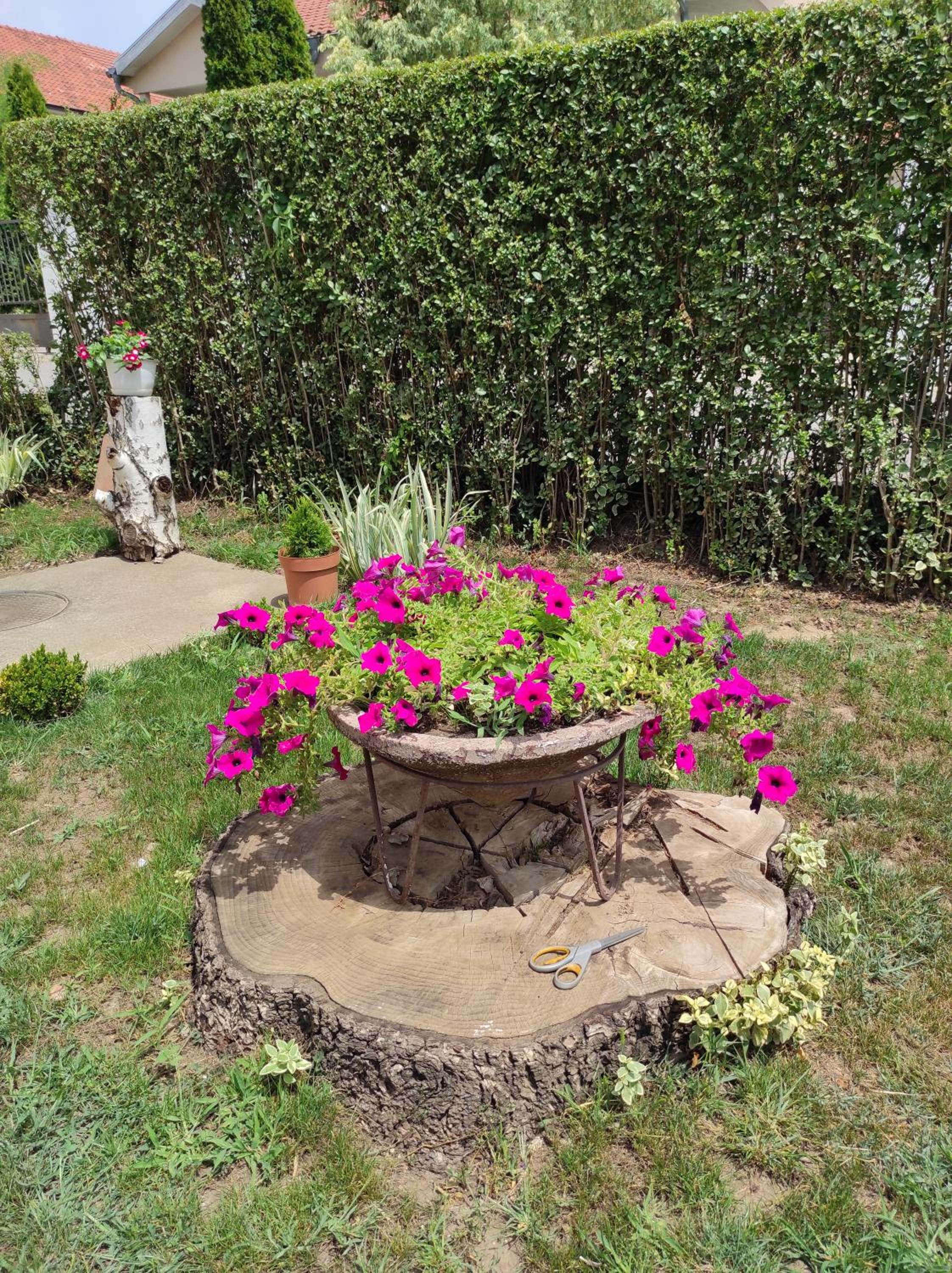 Photo 20