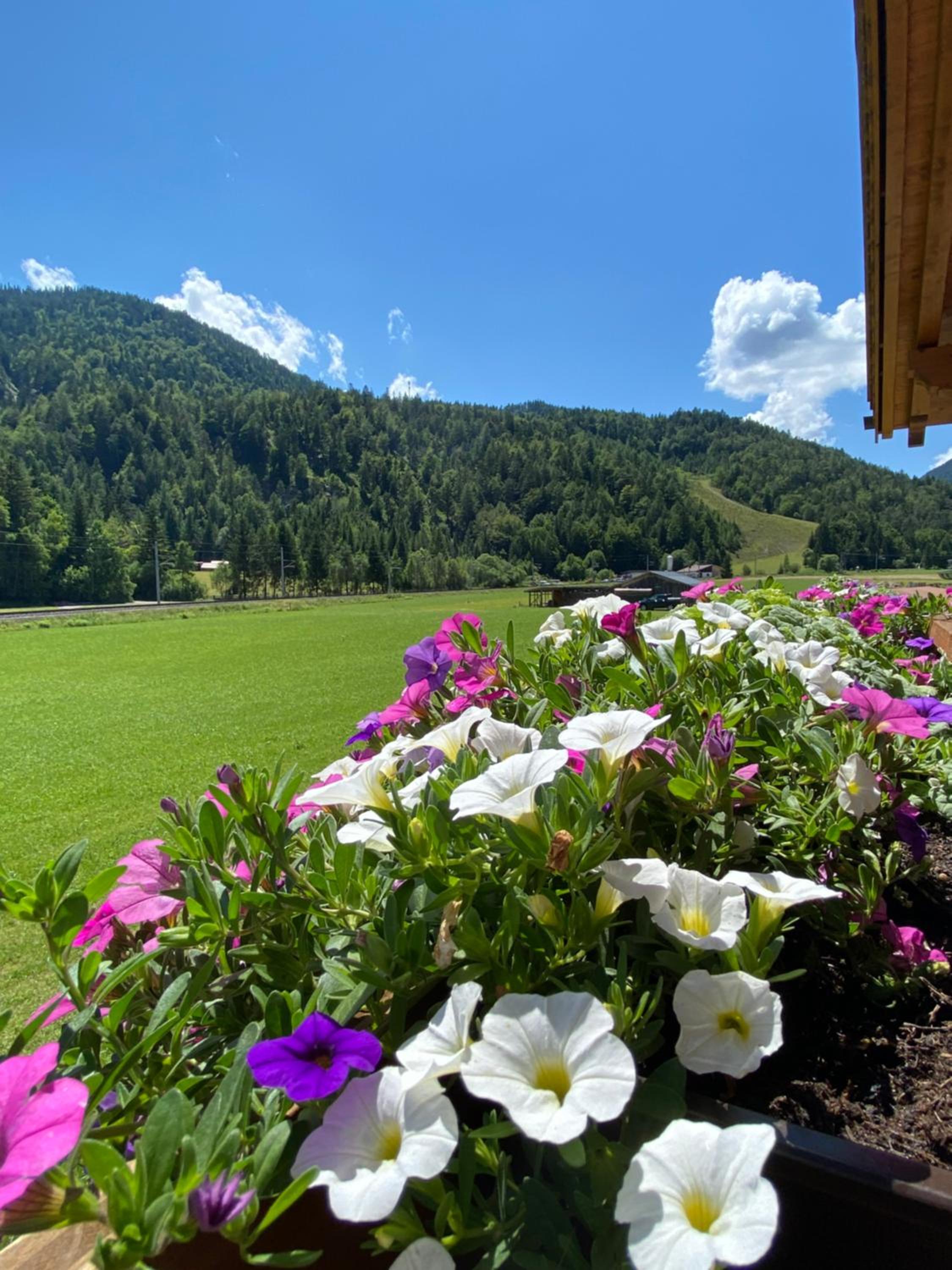Landhaus Mair view 5