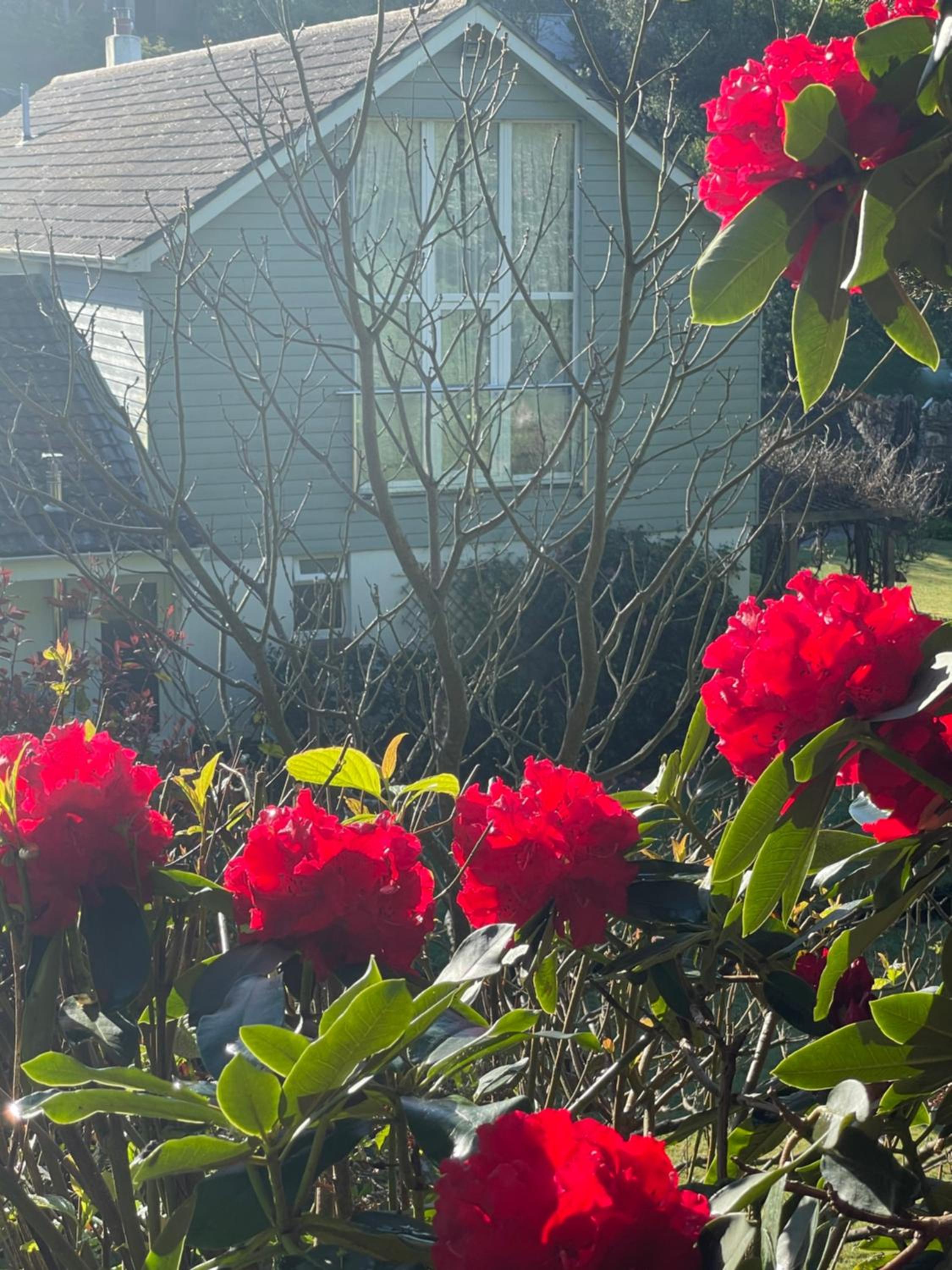 Westwaterhead, photo 41