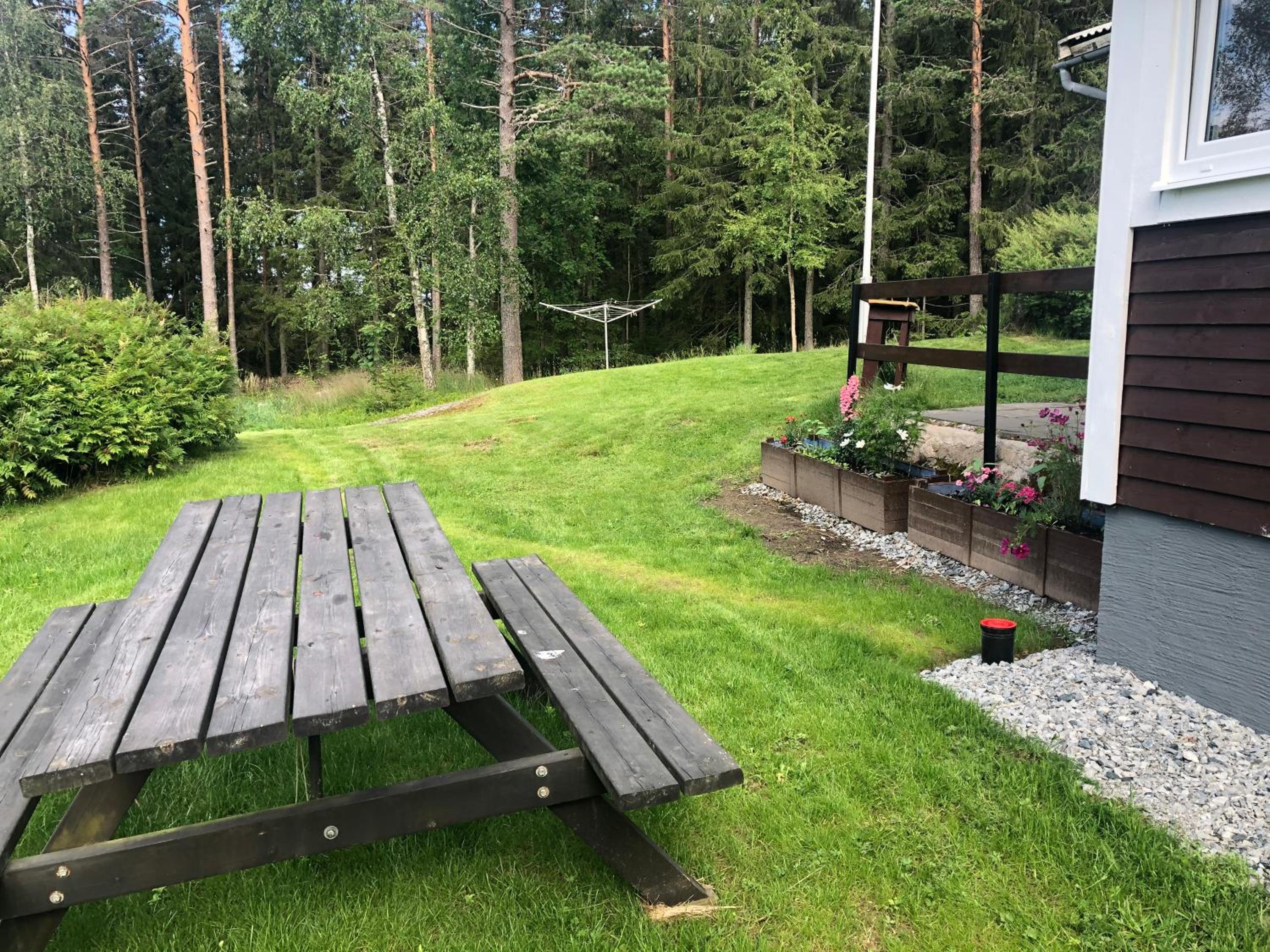 Paradiset stugan i fin skogen