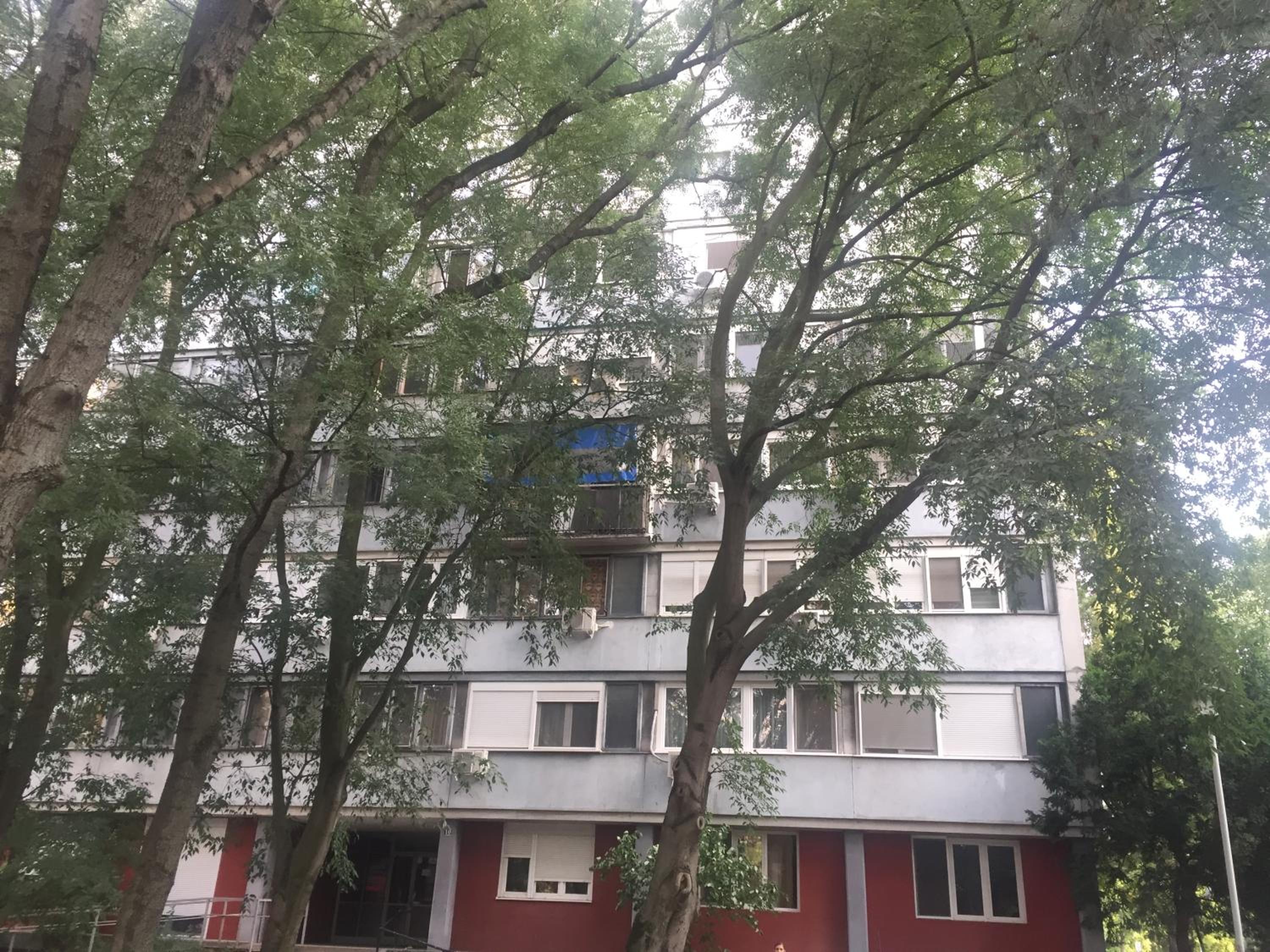 Photo 41