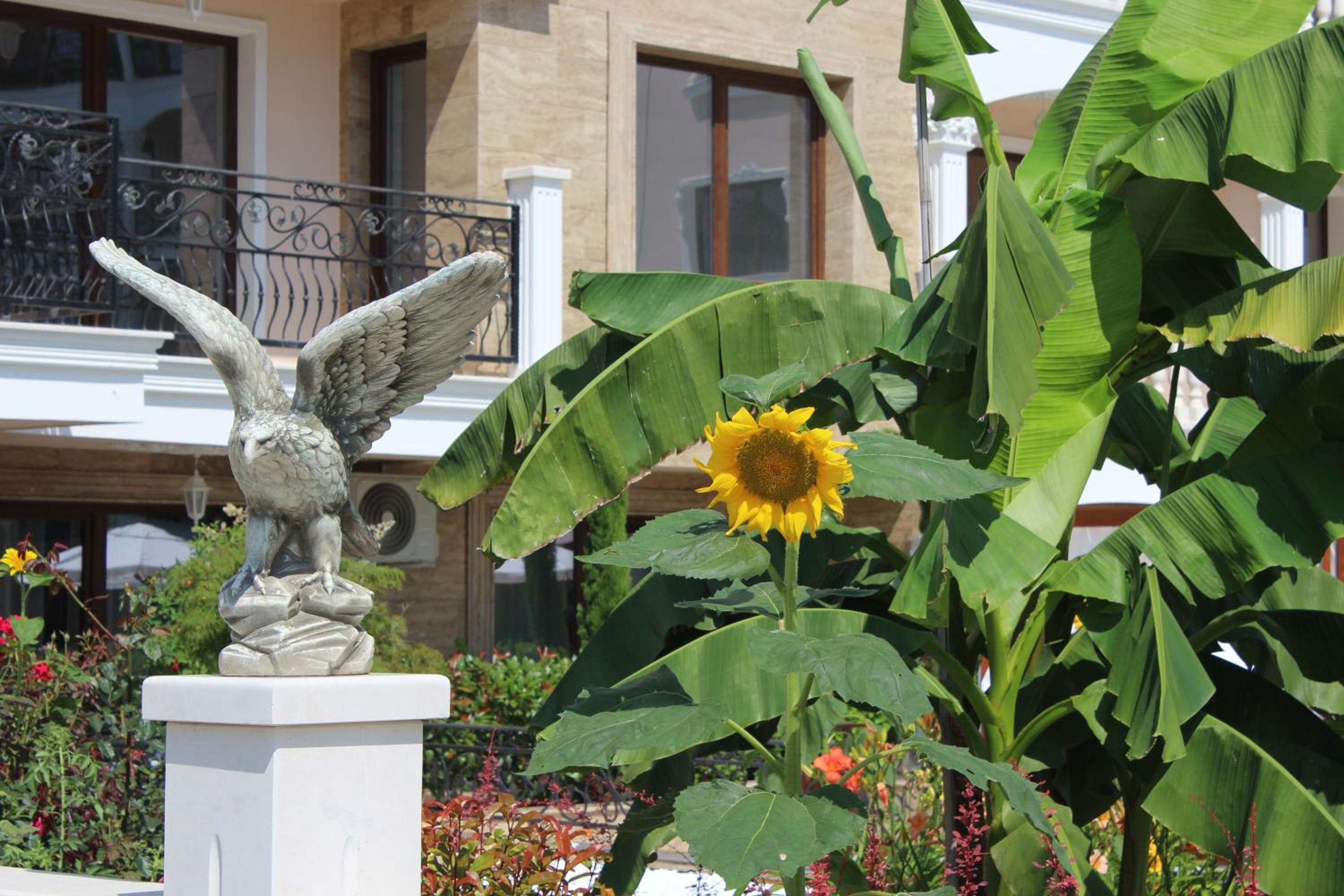 Valencia Gardens Luxury Studios