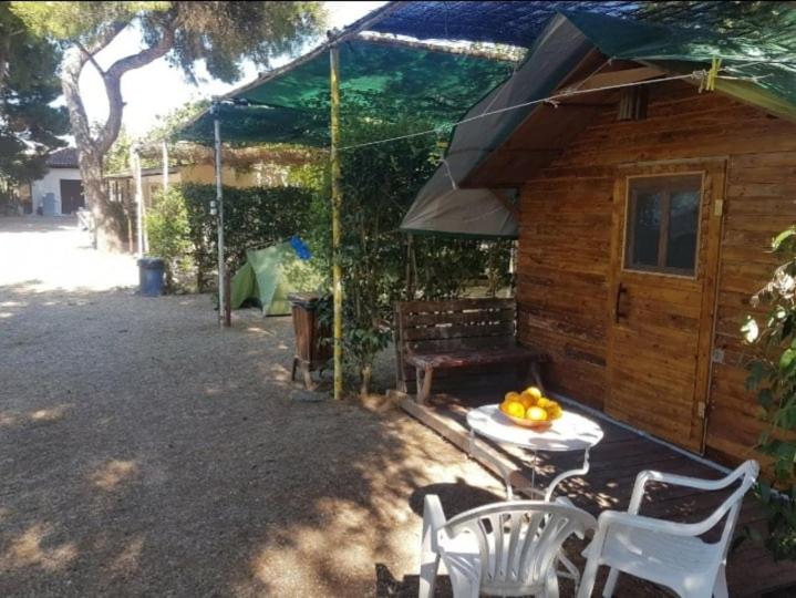 XeniCamp-Retreat view 4