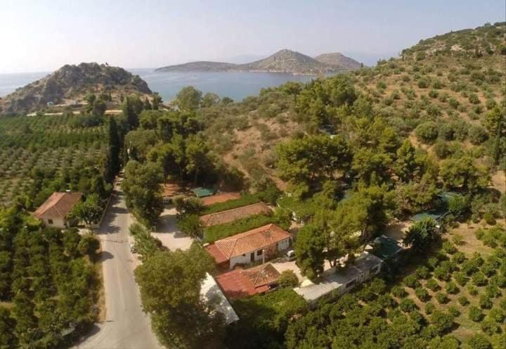 XeniCamp-Retreat view 3