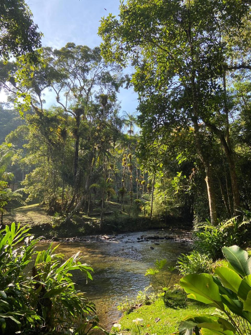 Photo 51