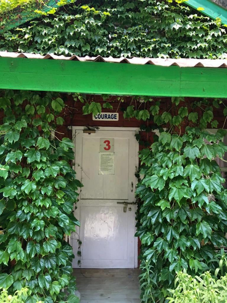 Photo 11