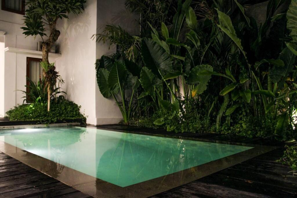 Oasis Villa - Padonan