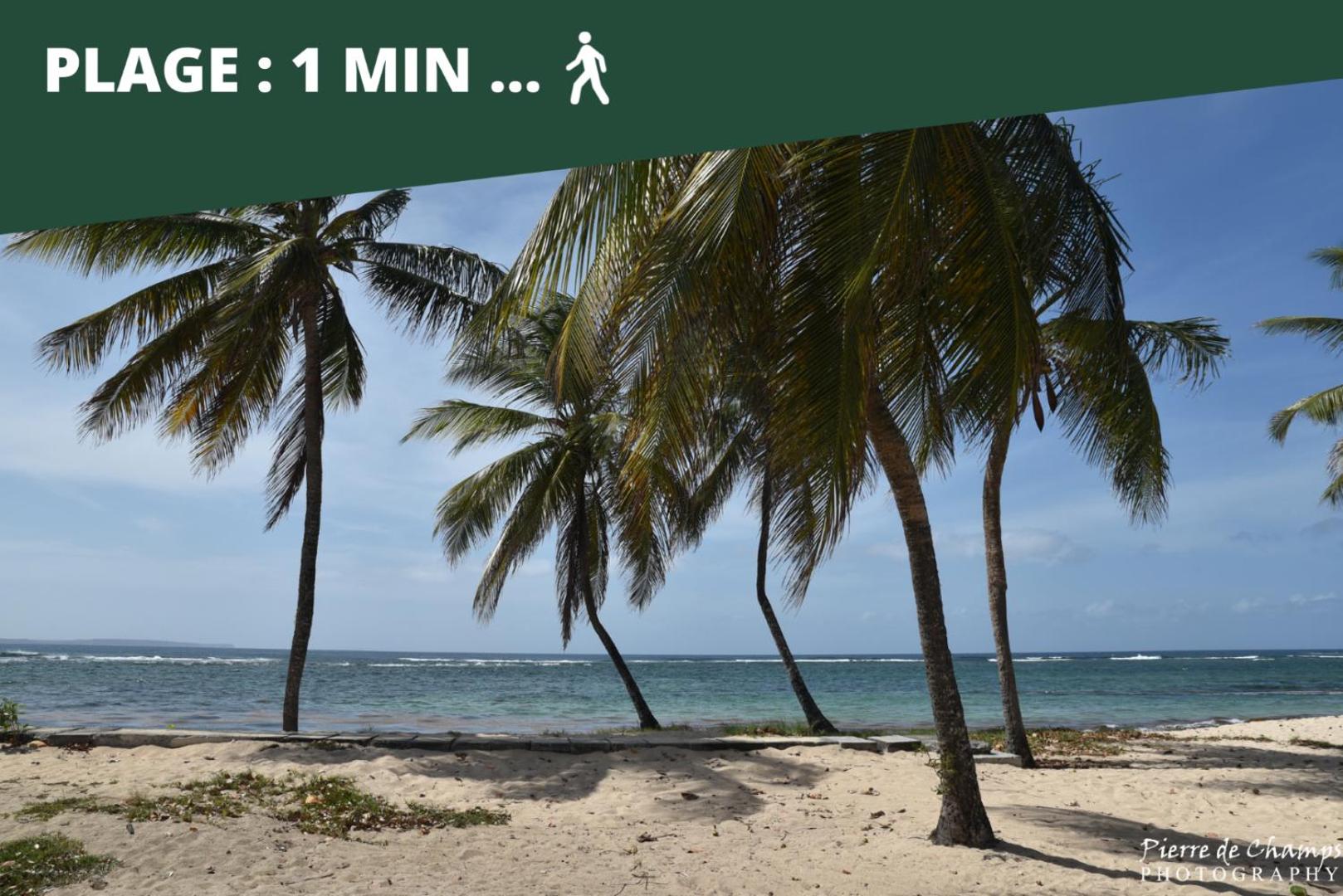 Le Tilotine alizetropical