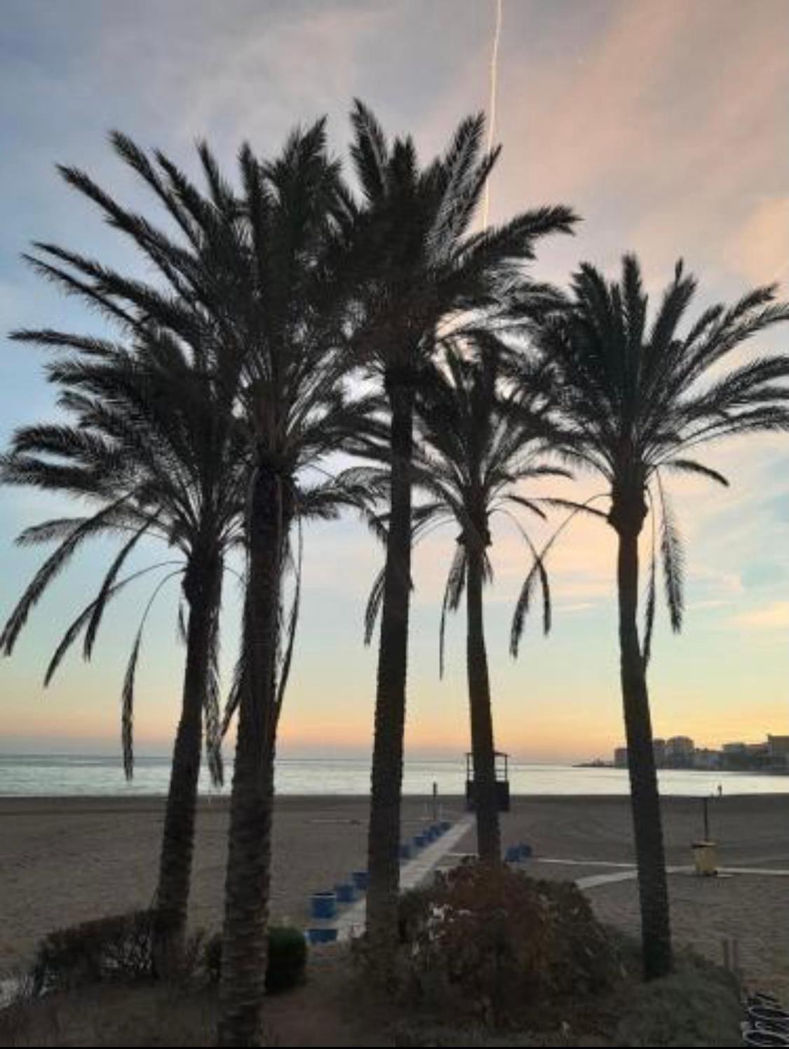 BenalBeach Complex