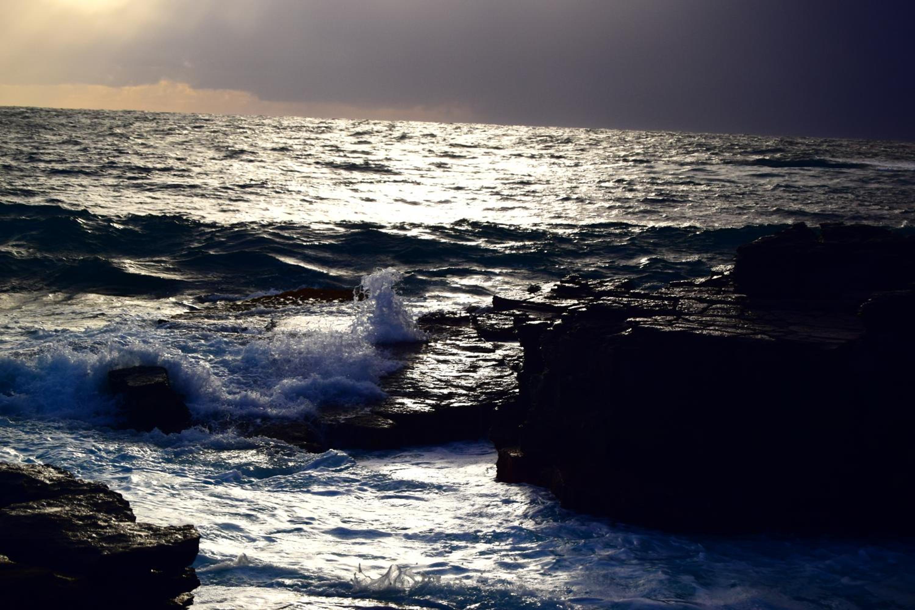Photo 44