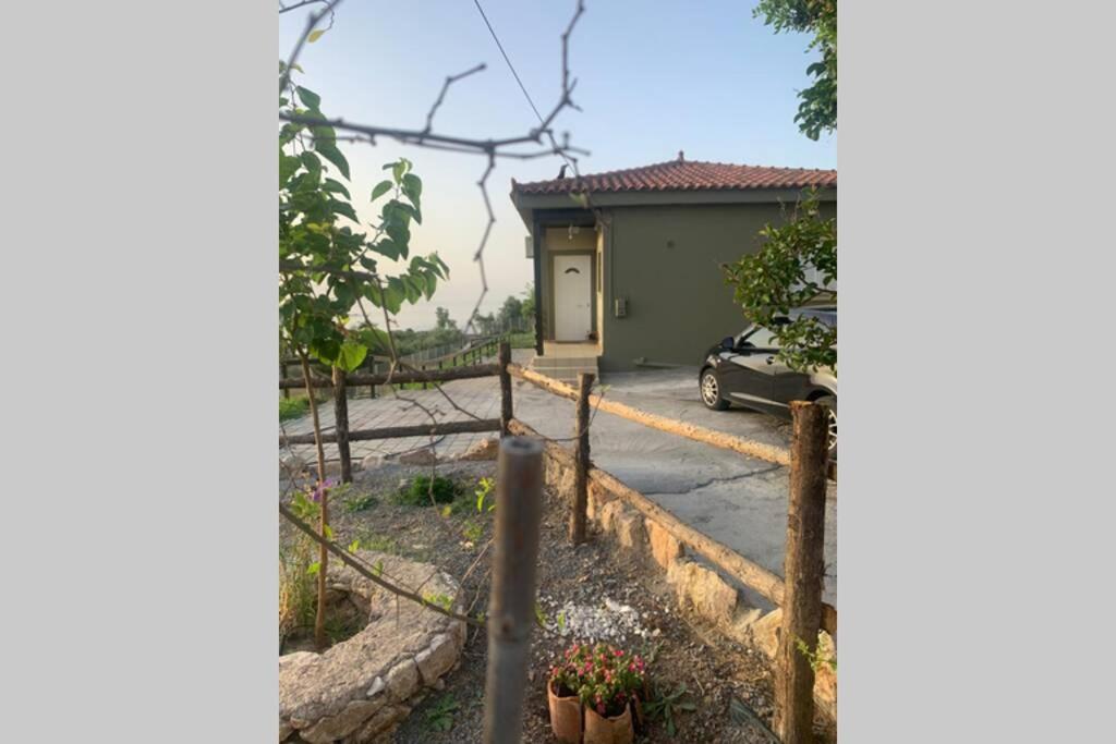 Photo 18