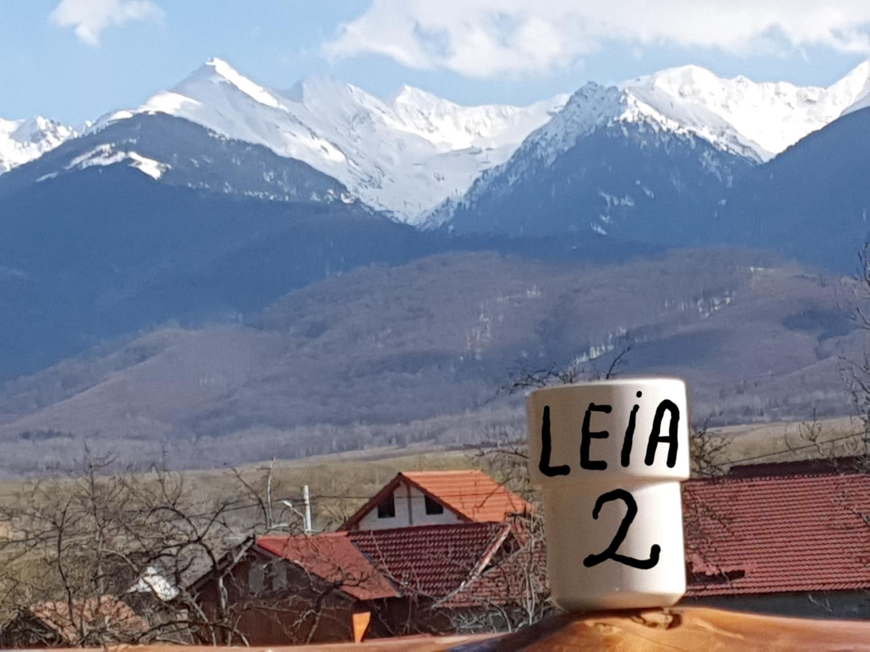 PENSIUNEA LEIA Transfăgărășan