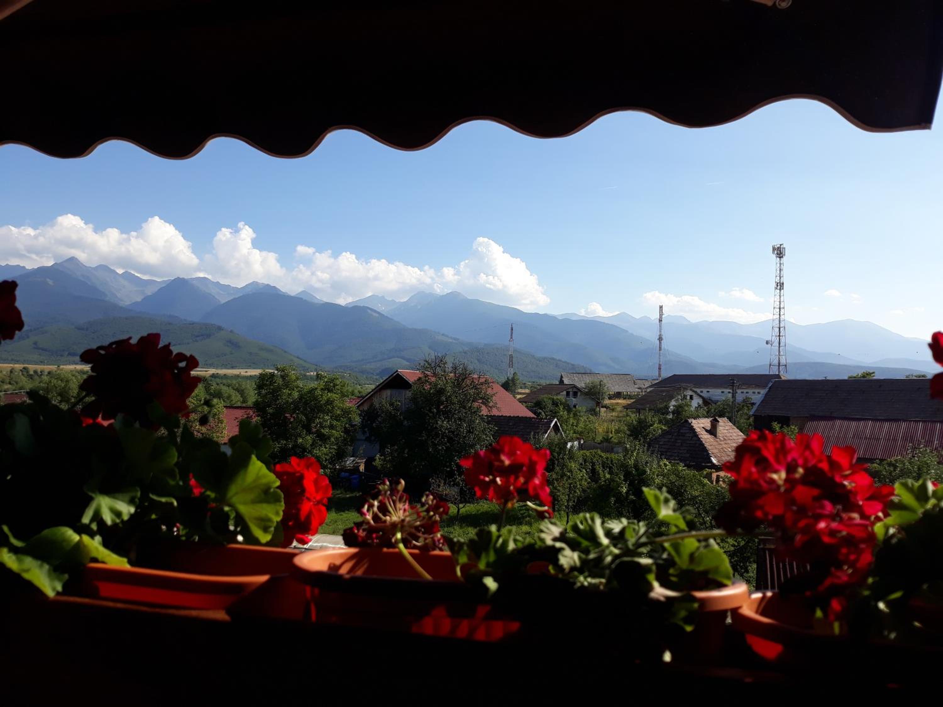 PENSIUNEA LEIA Transfăgărășan