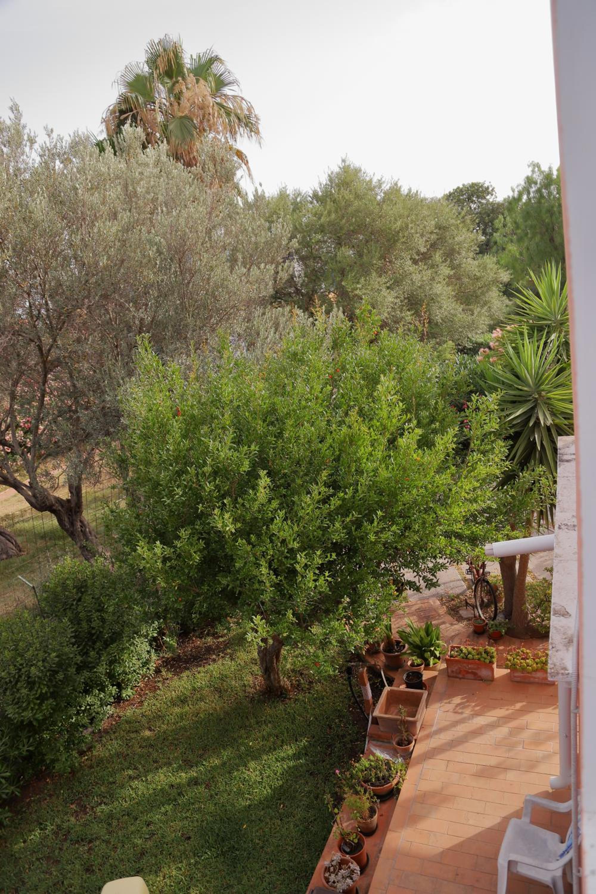 Casa Vacanze Le Terrazze view 5