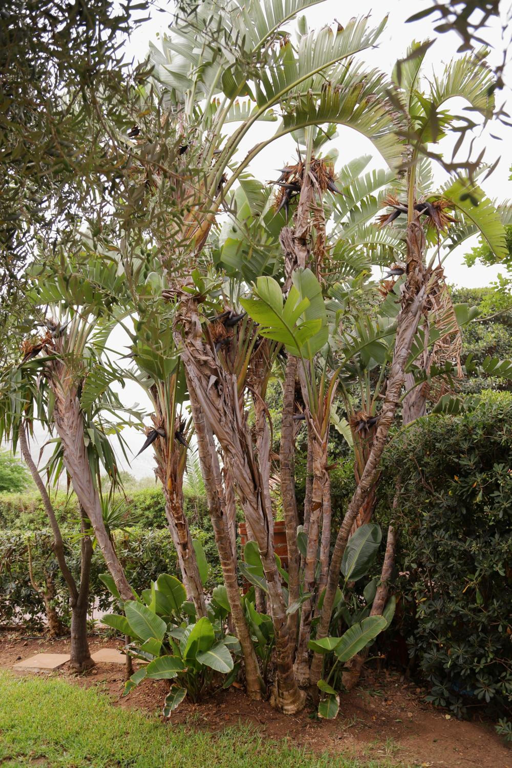 Photo 20