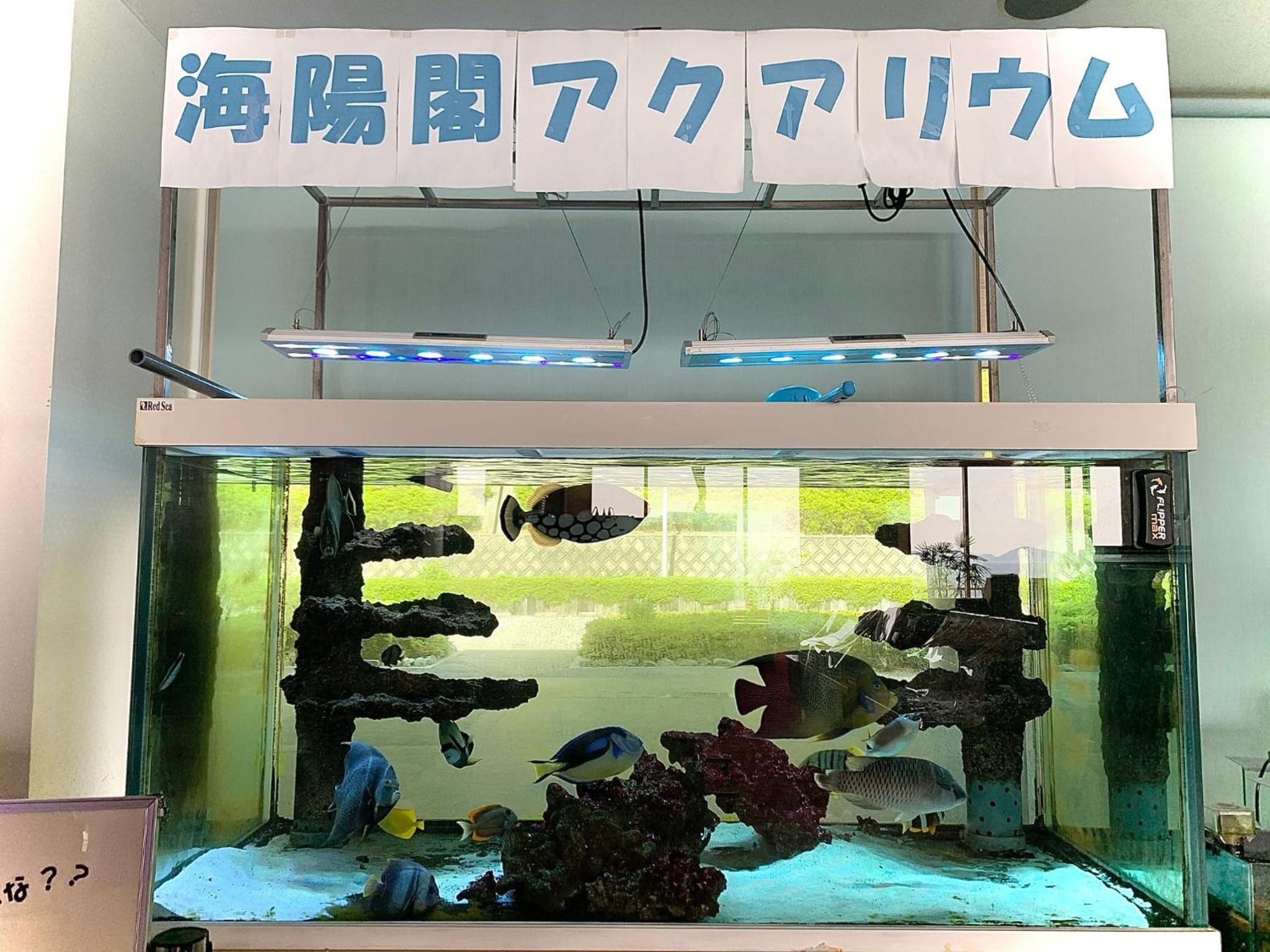 Kaiyoukaku