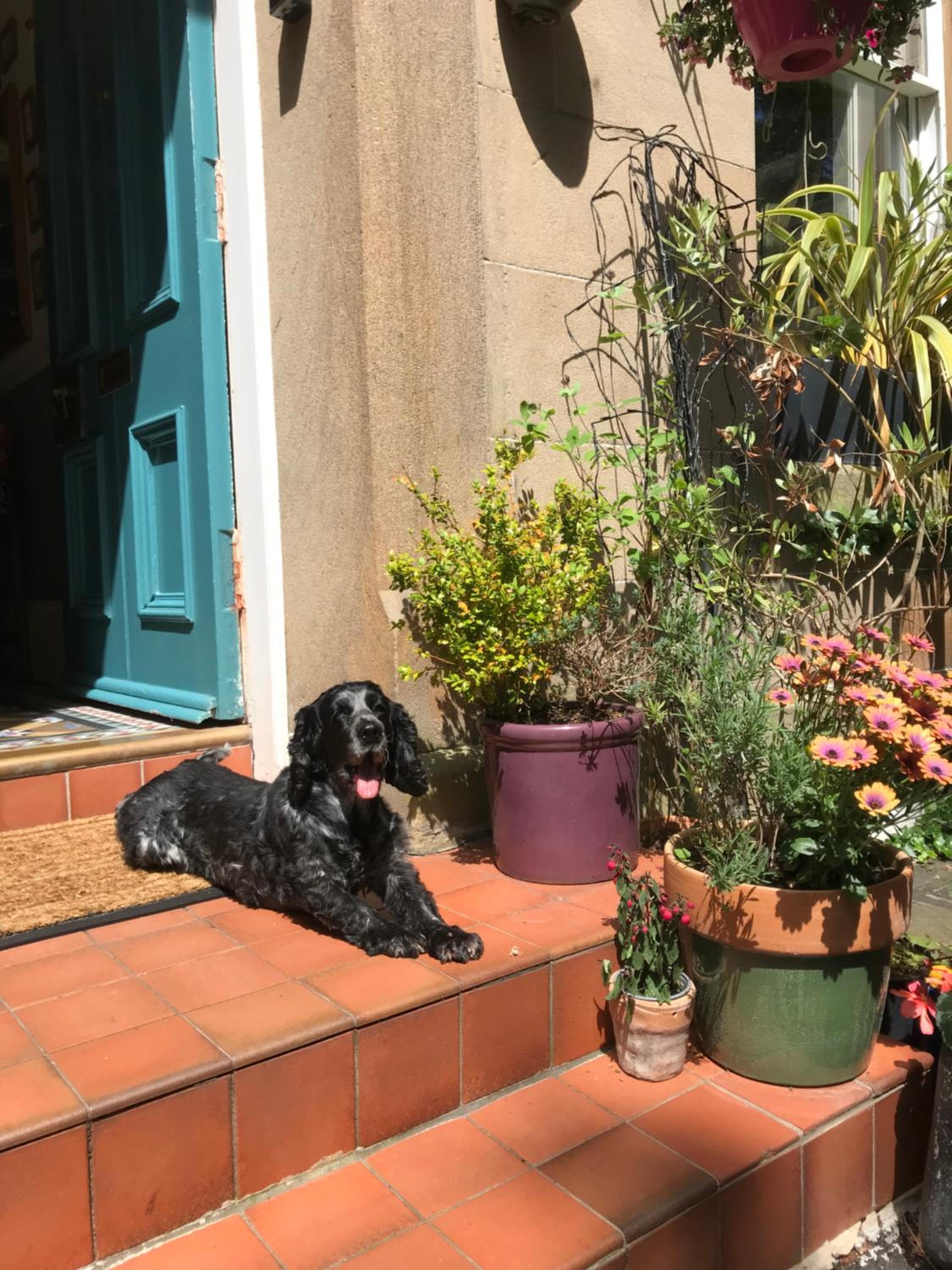 Albyn Townhouse