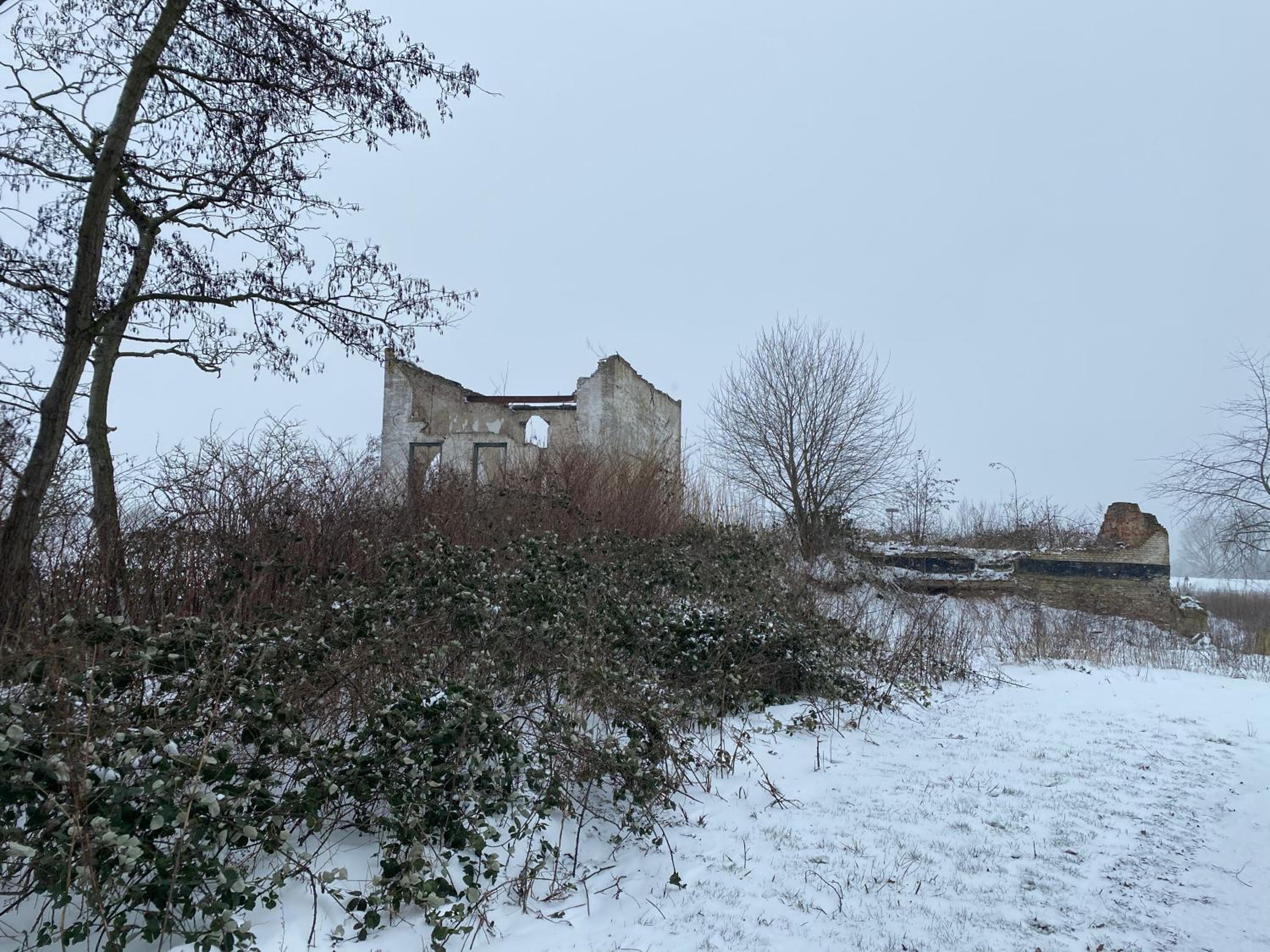 Photo 42