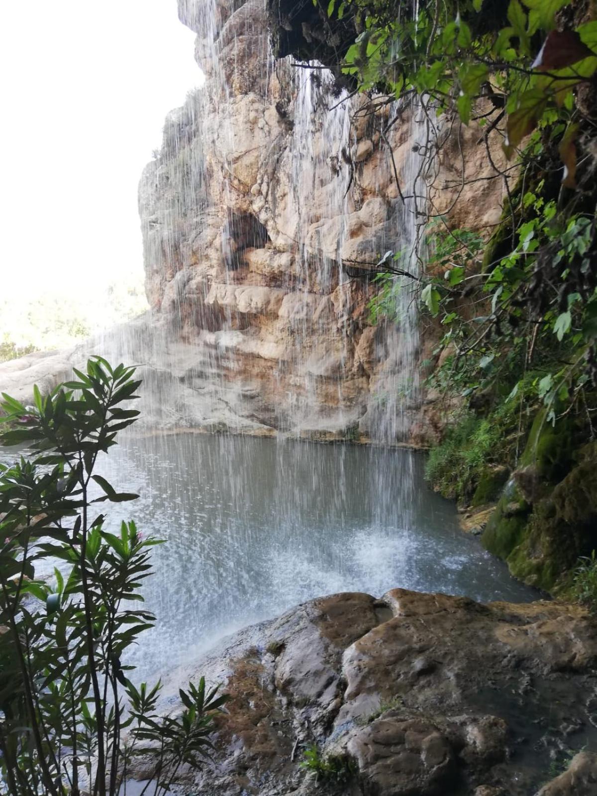 Photo 42