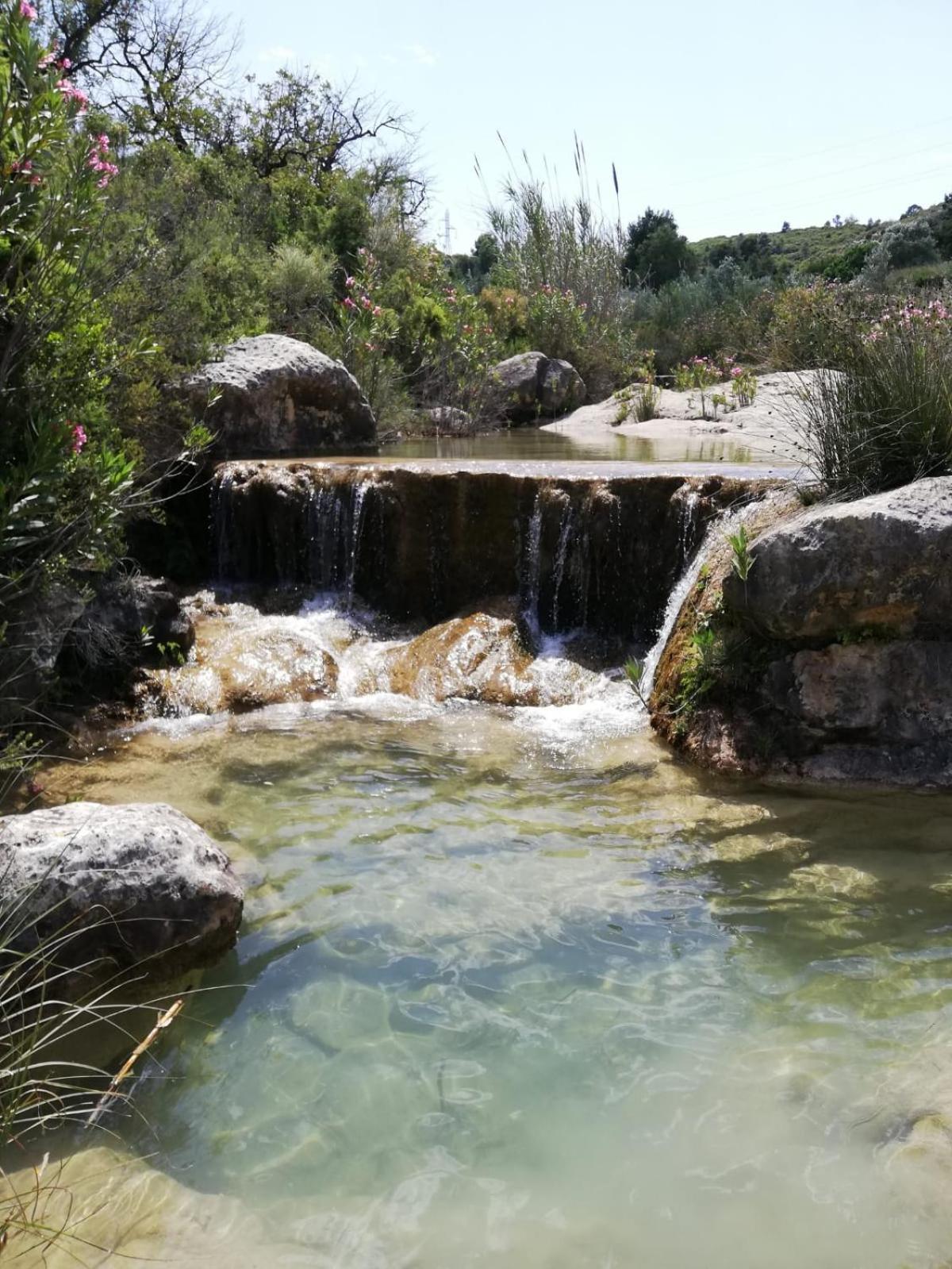 Photo 40