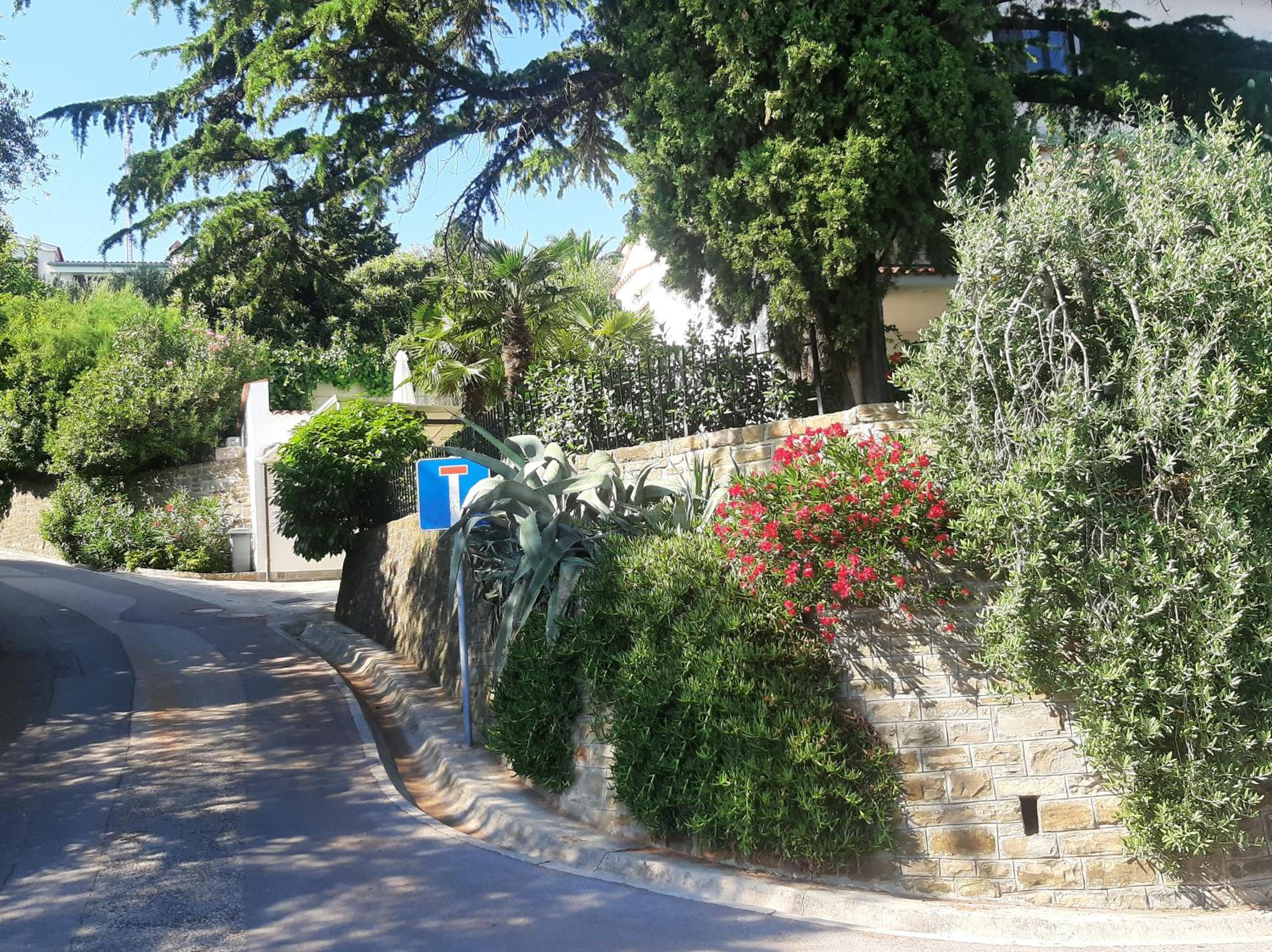 Photo 33