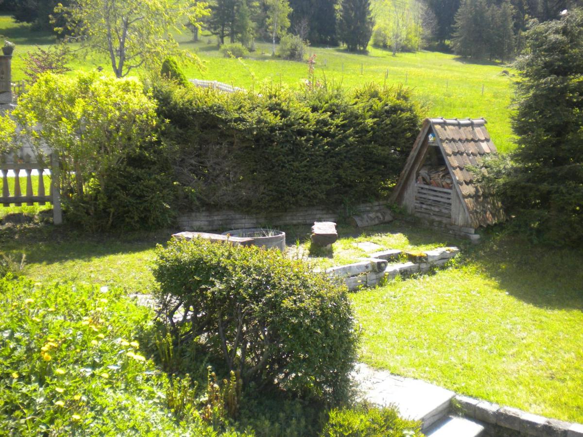 Chalet Tannegg