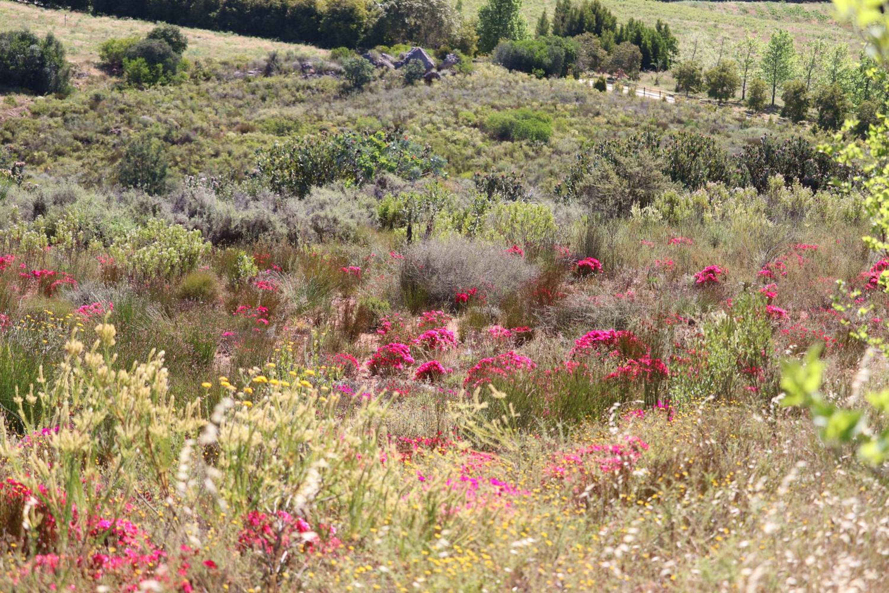 Photo 36